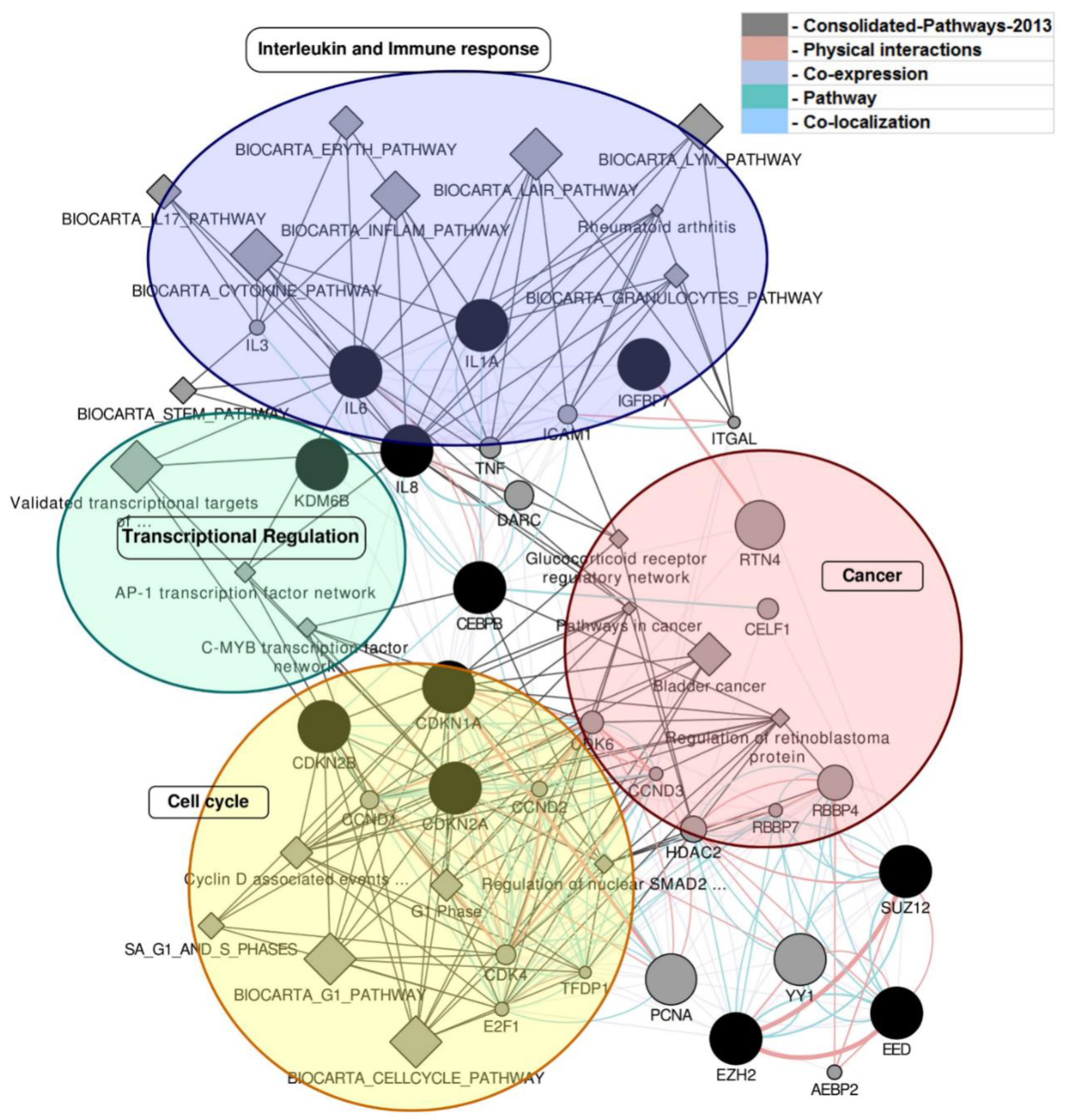 Ijms 22 00517 g002 Ijms 22 00517 g002