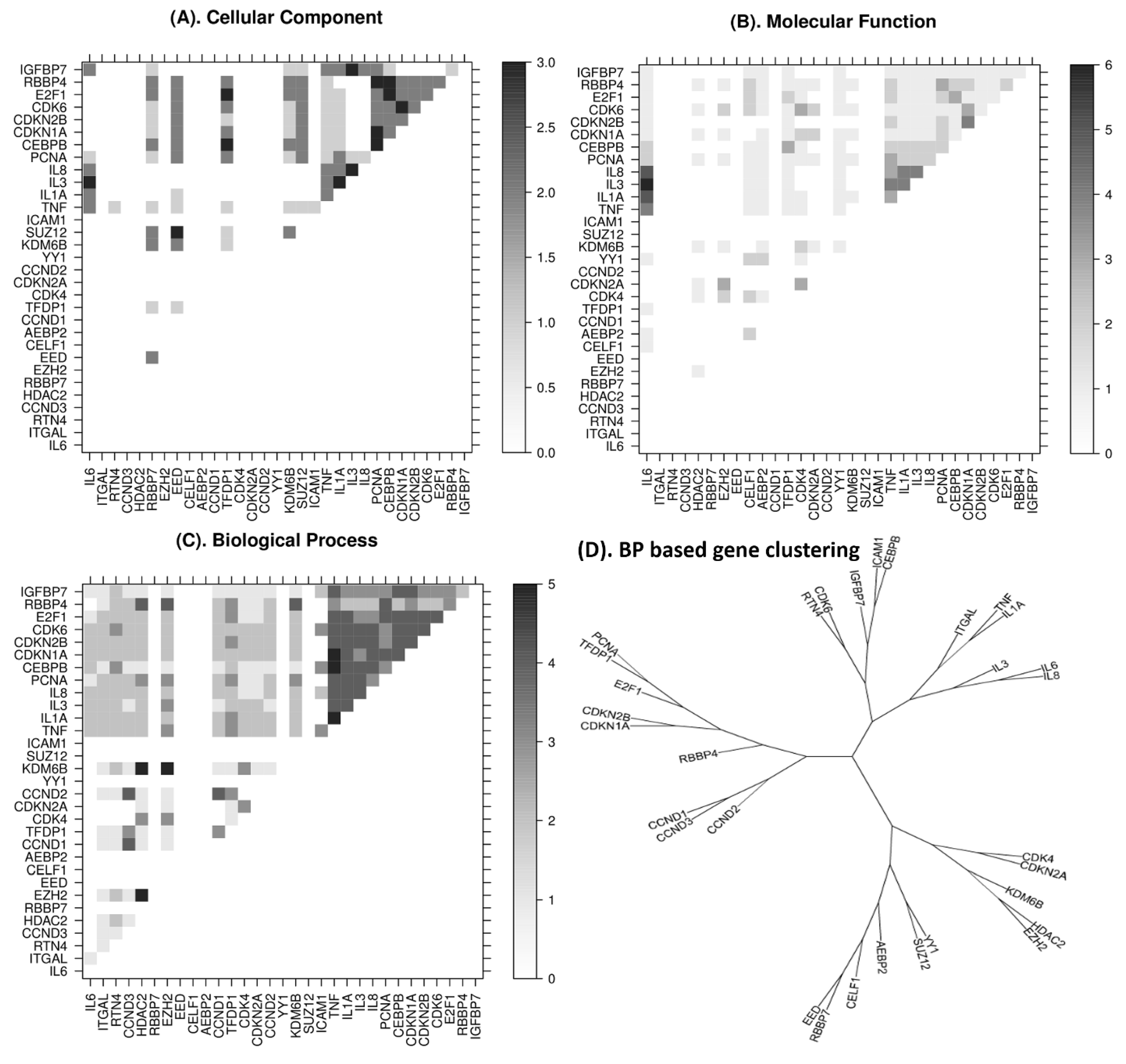 Ijms 22 00517 g003 Ijms 22 00517 g003