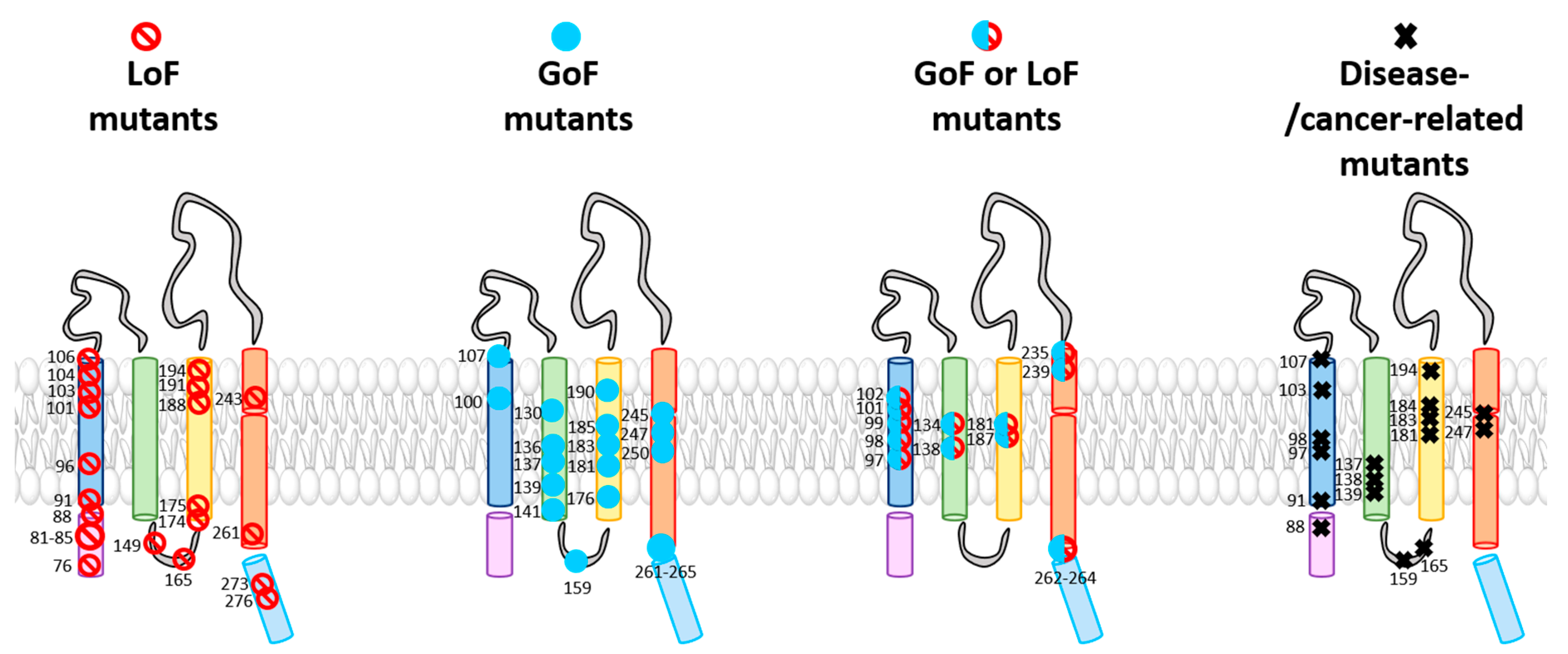 Ijms 22 00533 g003 Ijms 22 00533 g003