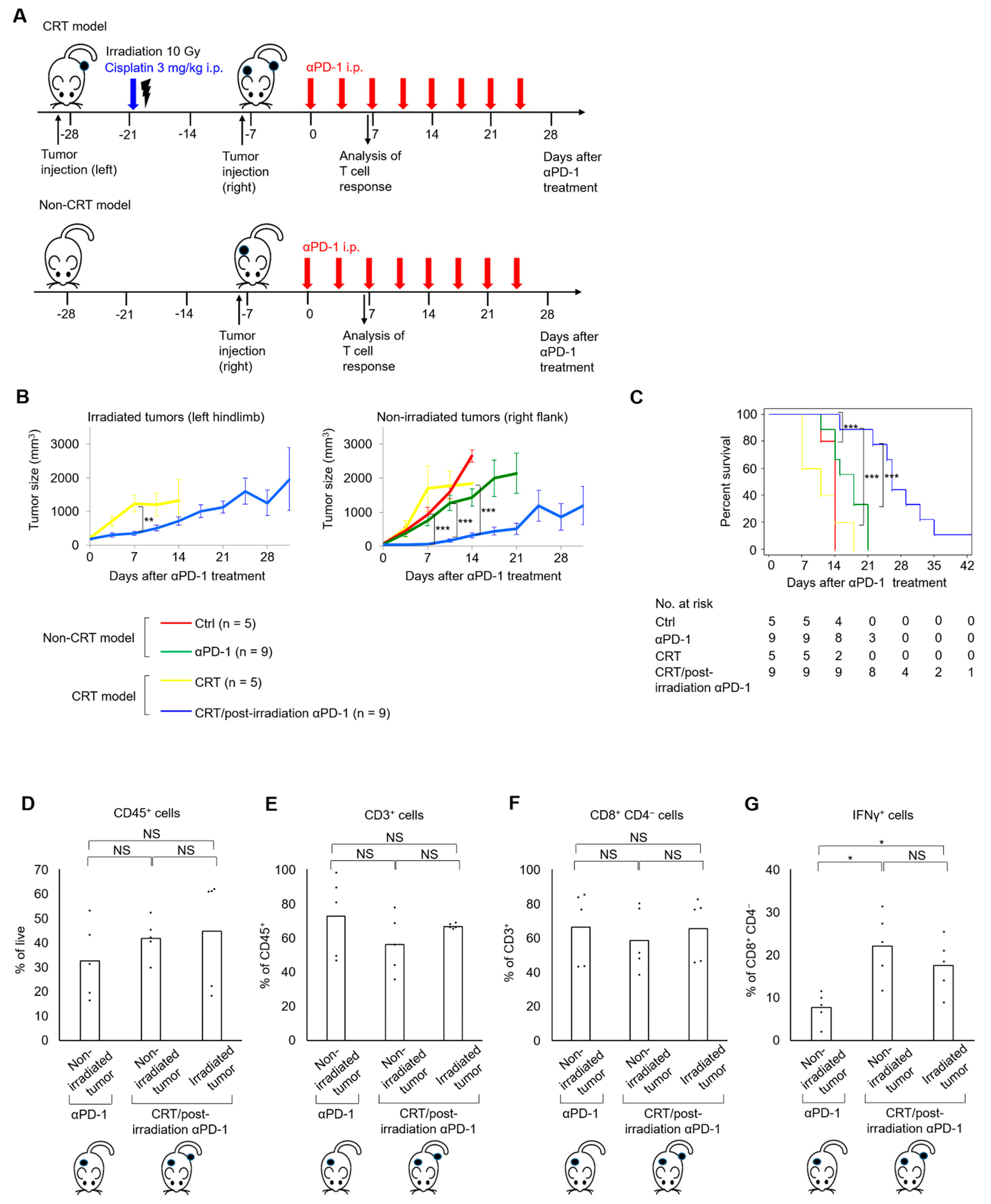 Ijms 22 00535 g003 Ijms 22 00535 g003