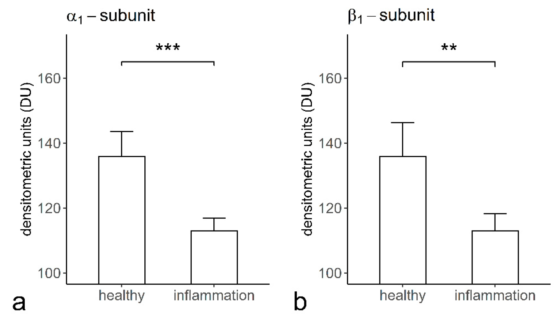 Ijms 22 00539 g007 Ijms 22 00539 g007
