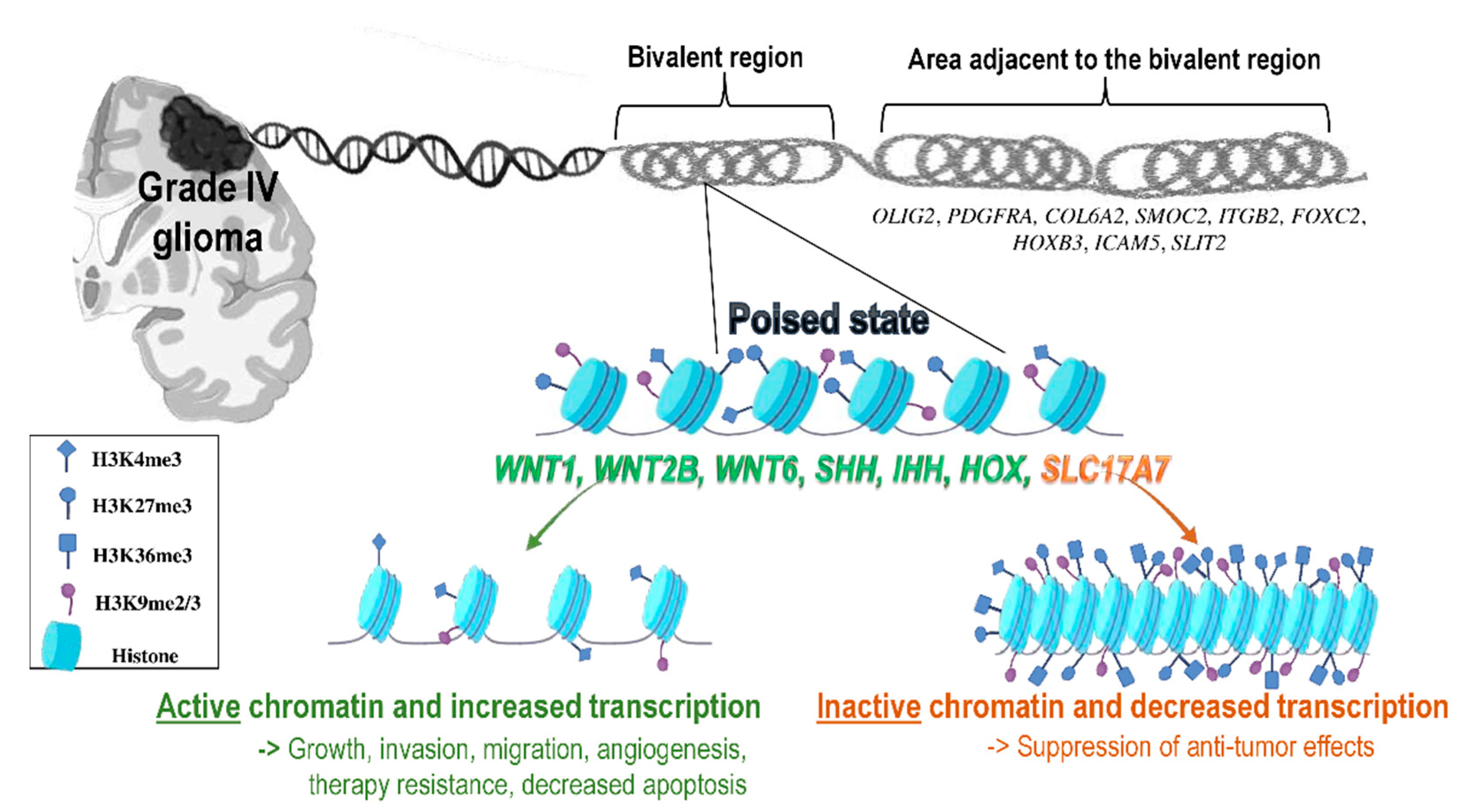 Ijms 22 00540 g002 Ijms 22 00540 g002