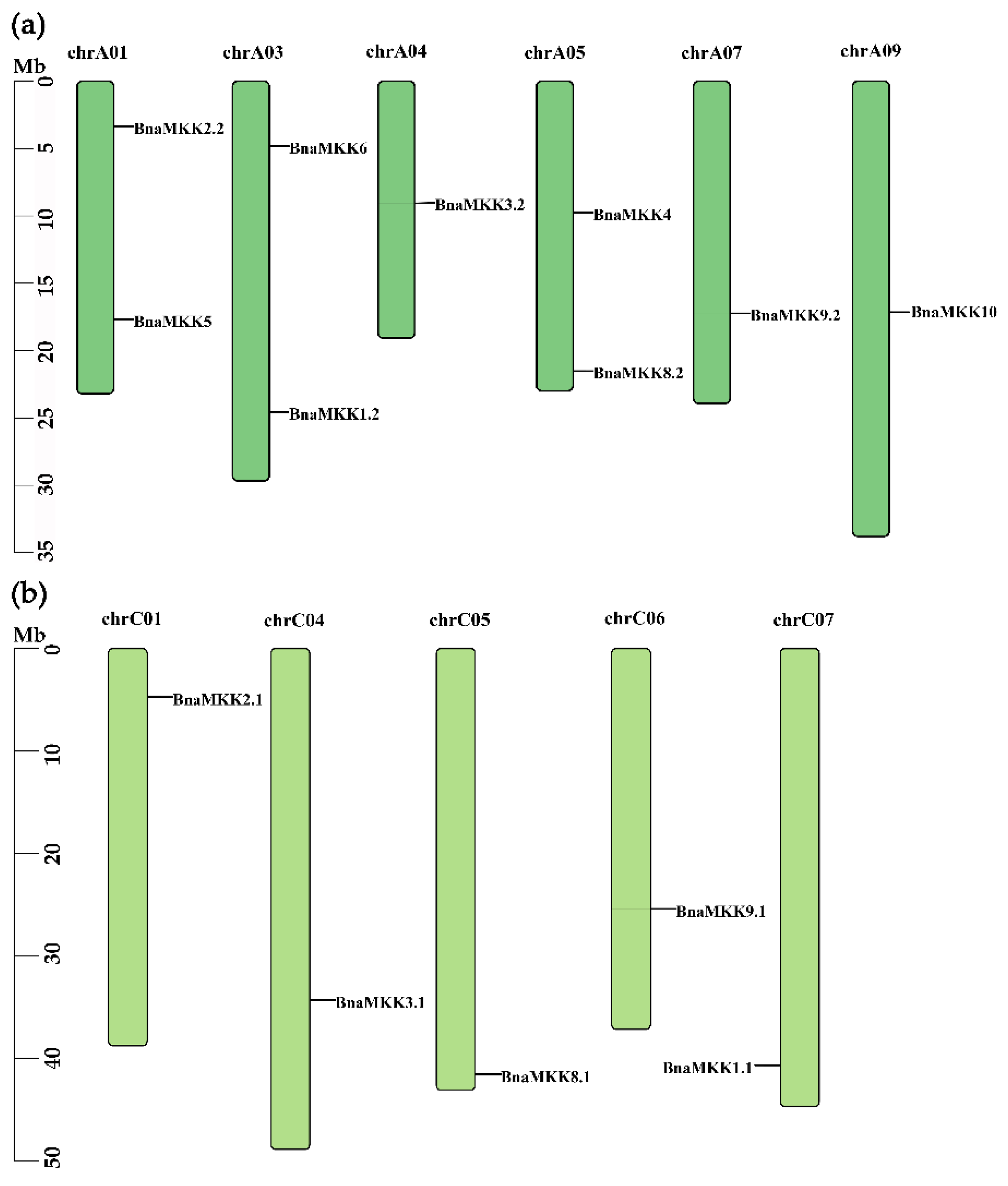 Ijms 22 00544 g002 Ijms 22 00544 g002