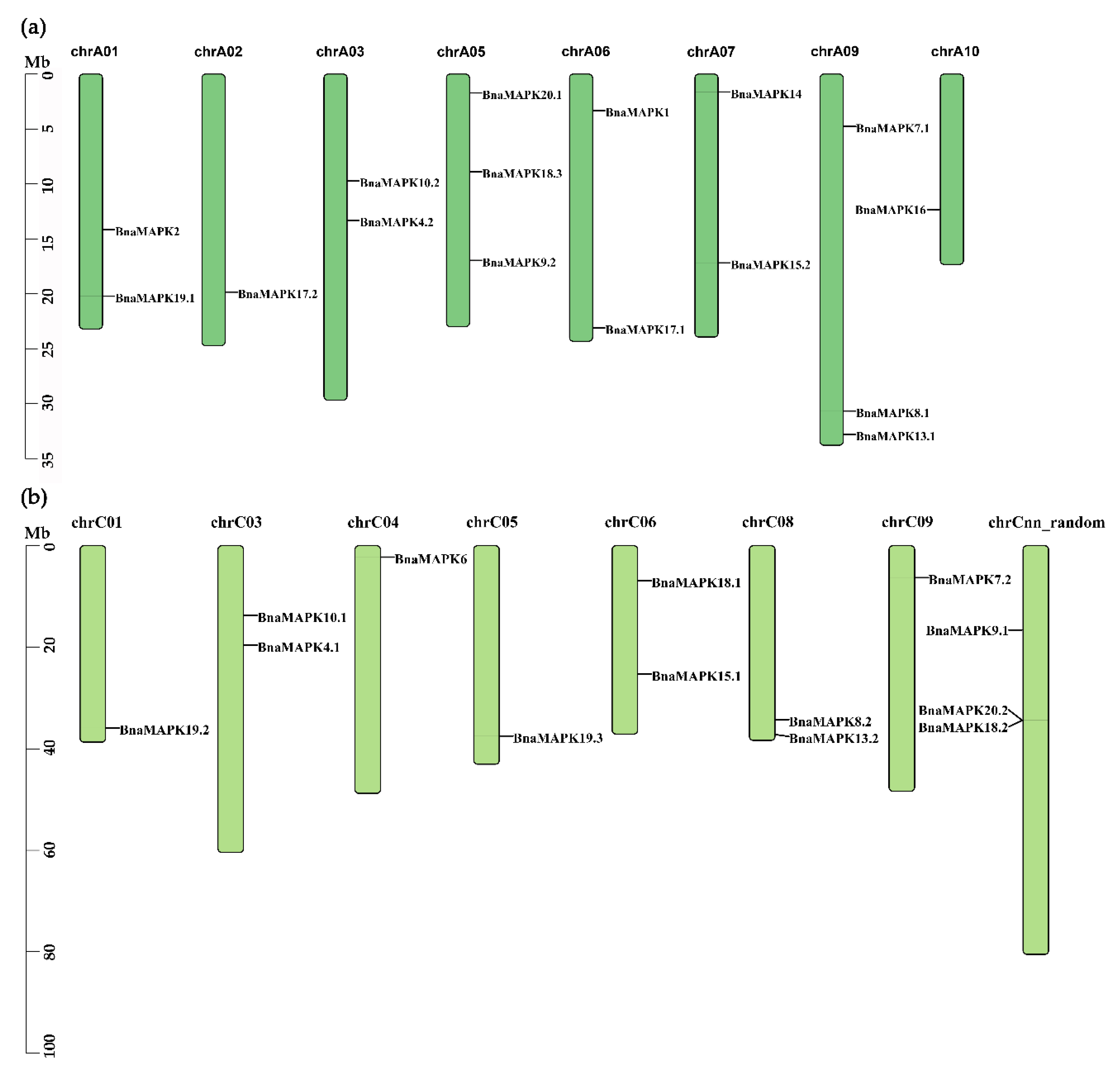 Ijms 22 00544 g003 Ijms 22 00544 g003