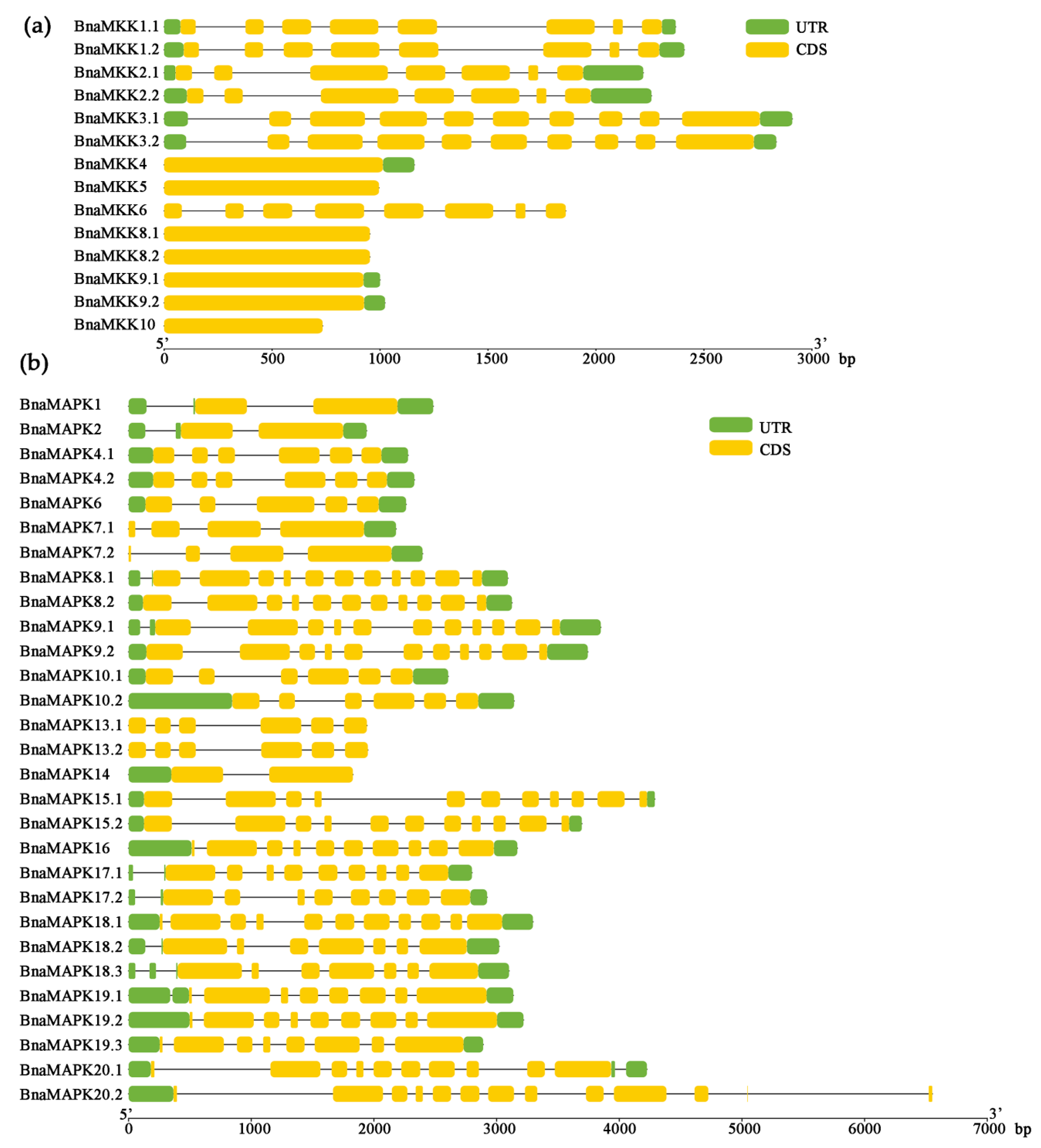 Ijms 22 00544 g004 Ijms 22 00544 g004