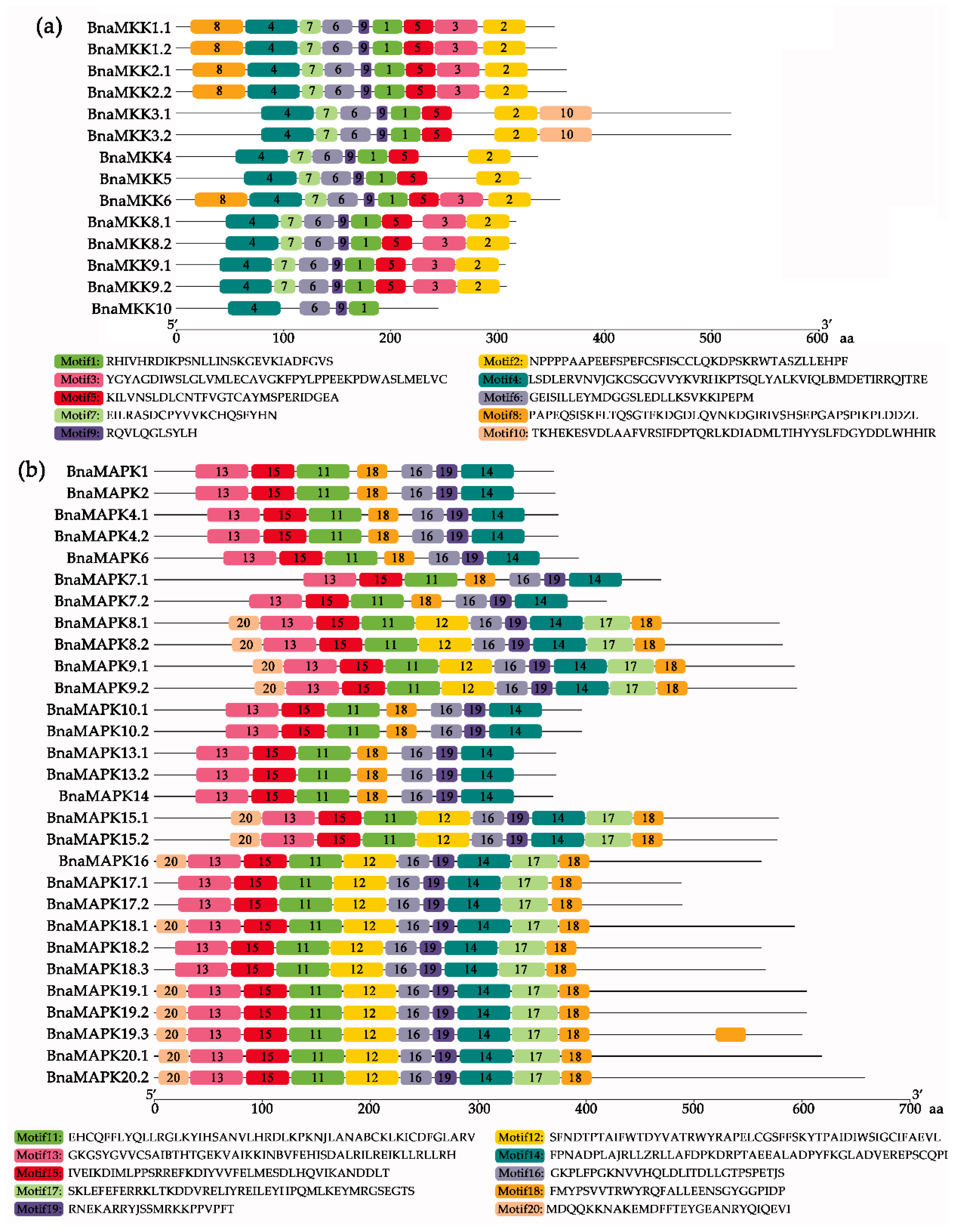 Ijms 22 00544 g005 Ijms 22 00544 g005