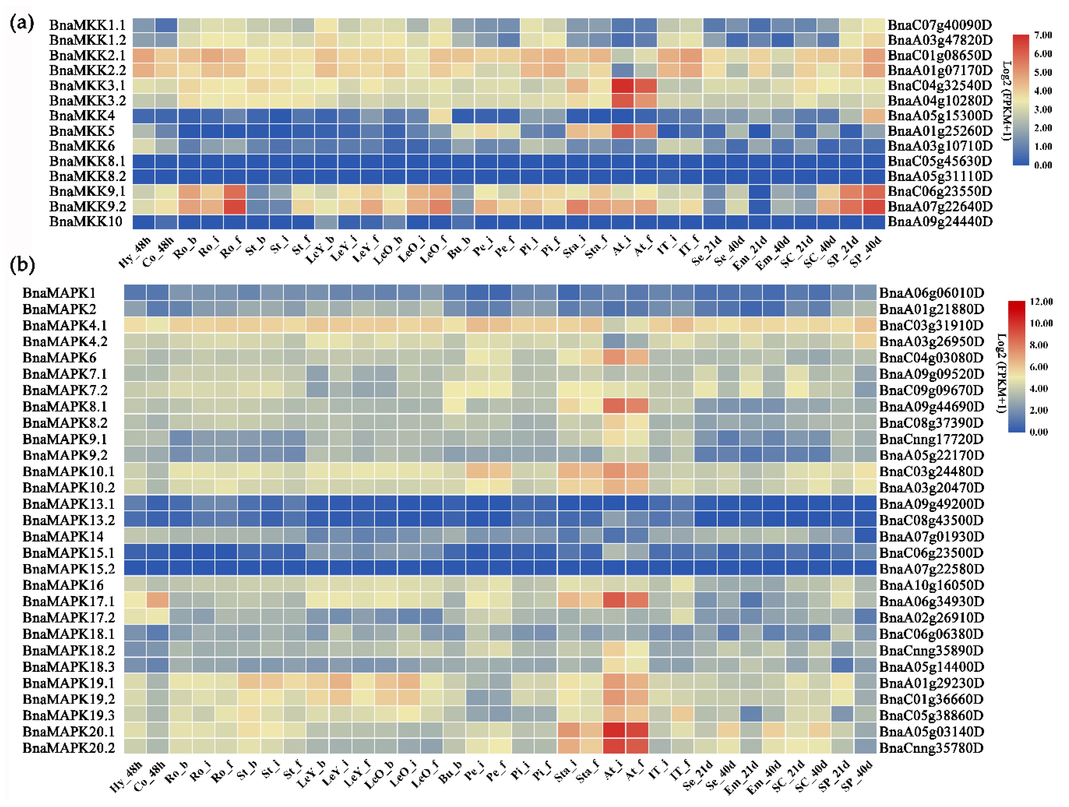 Ijms 22 00544 g006 Ijms 22 00544 g006