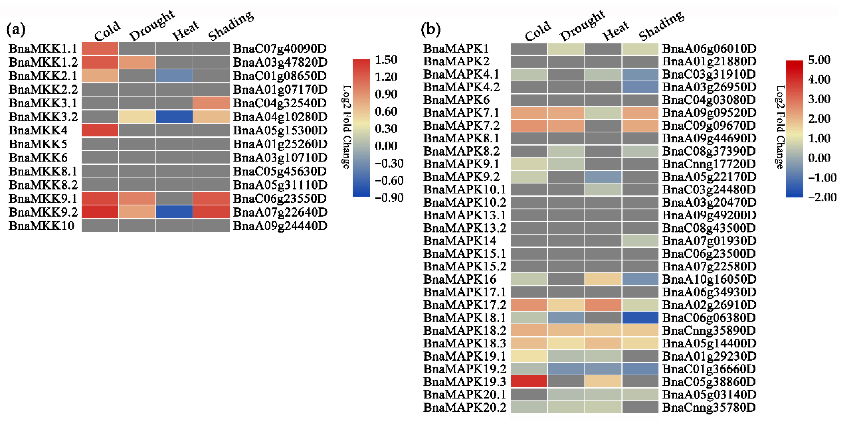 Ijms 22 00544 g007 Ijms 22 00544 g007
