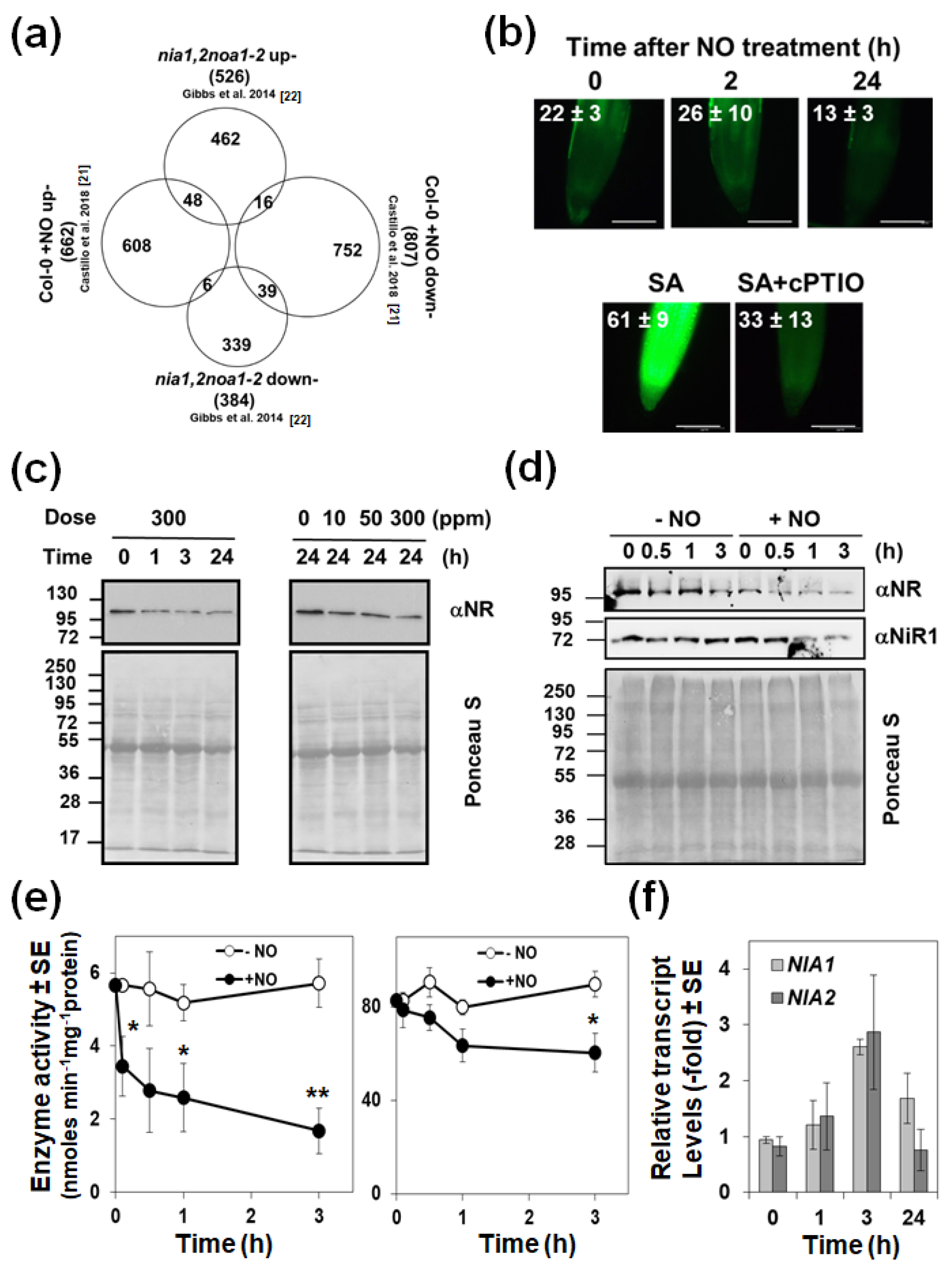 Ijms 22 00549 g001 Ijms 22 00549 g001