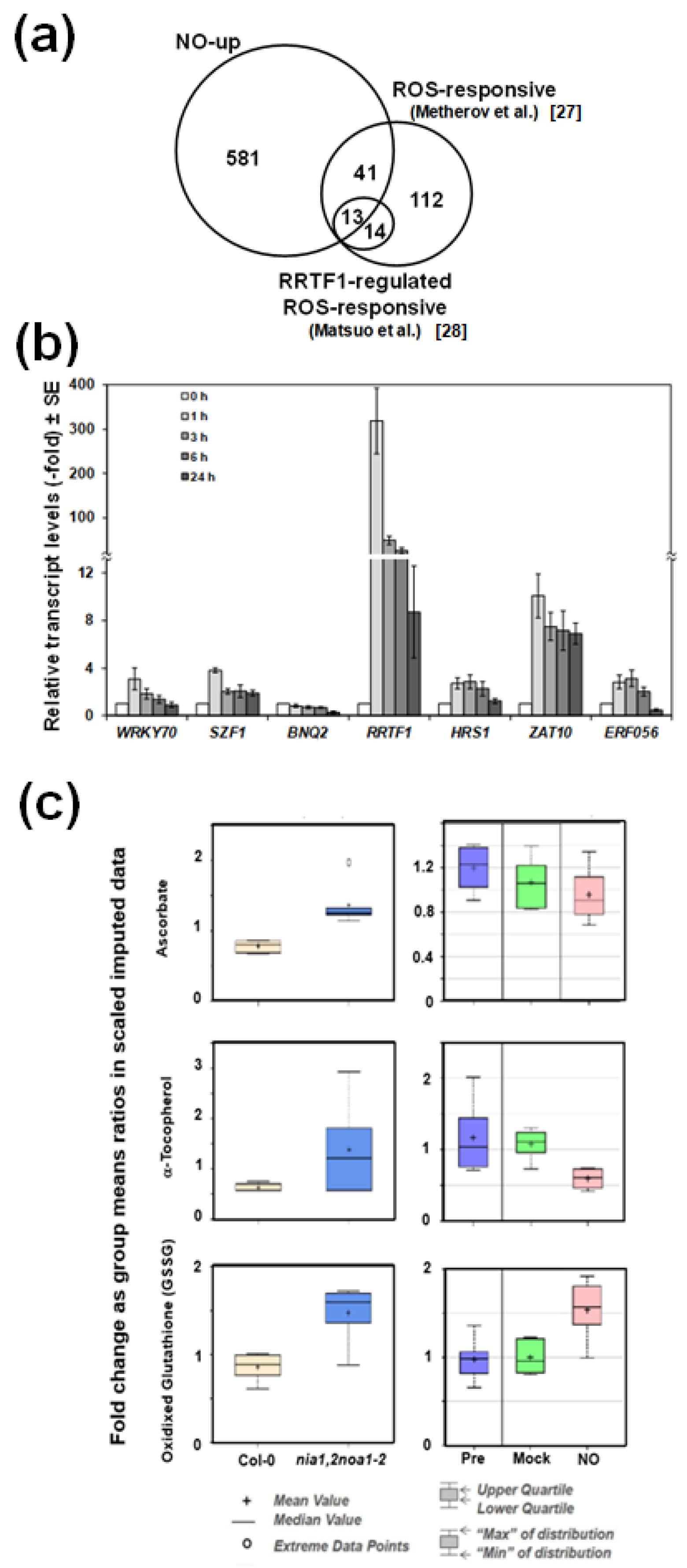 Ijms 22 00549 g003 Ijms 22 00549 g003