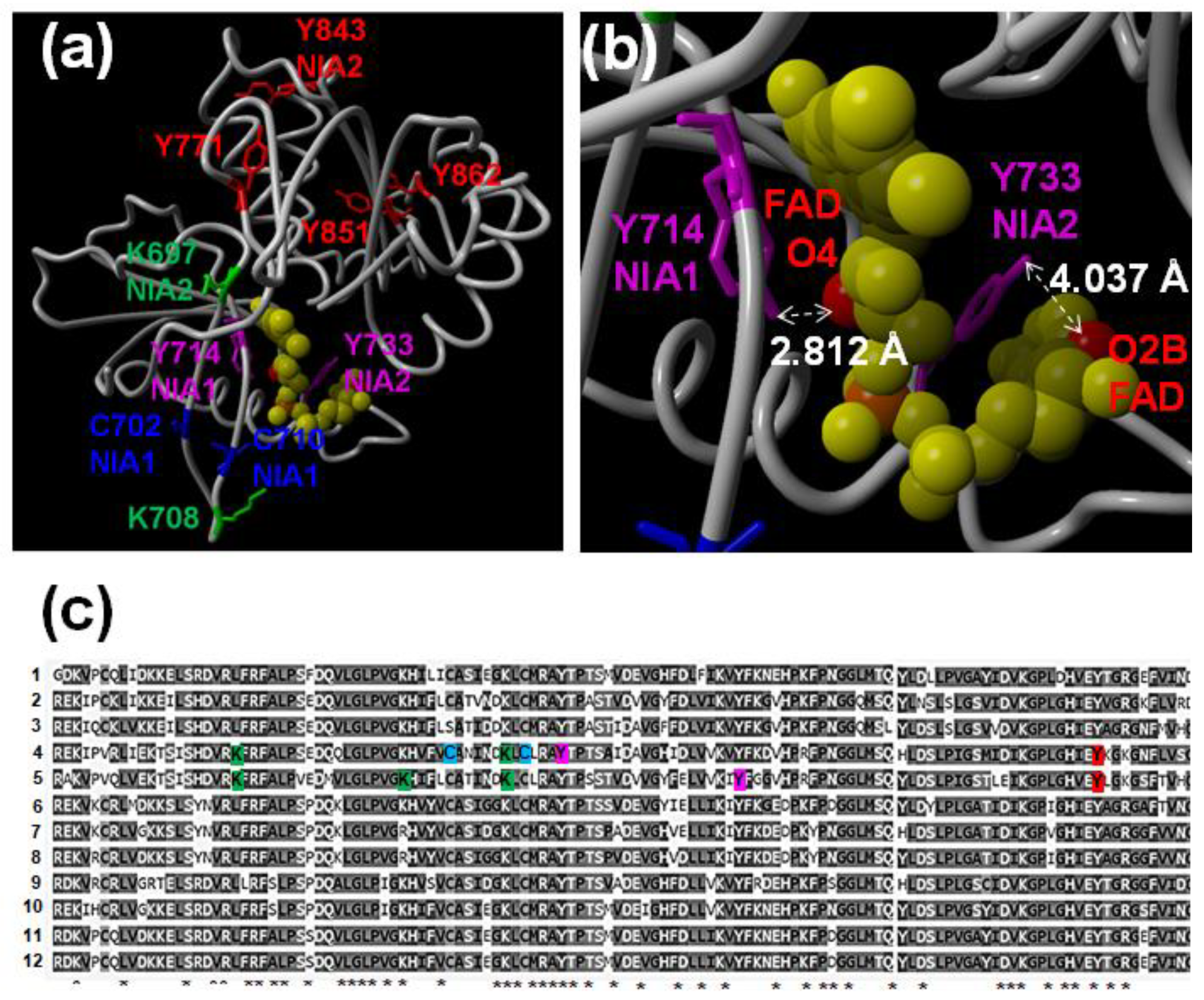 Ijms 22 00549 g005 Ijms 22 00549 g005