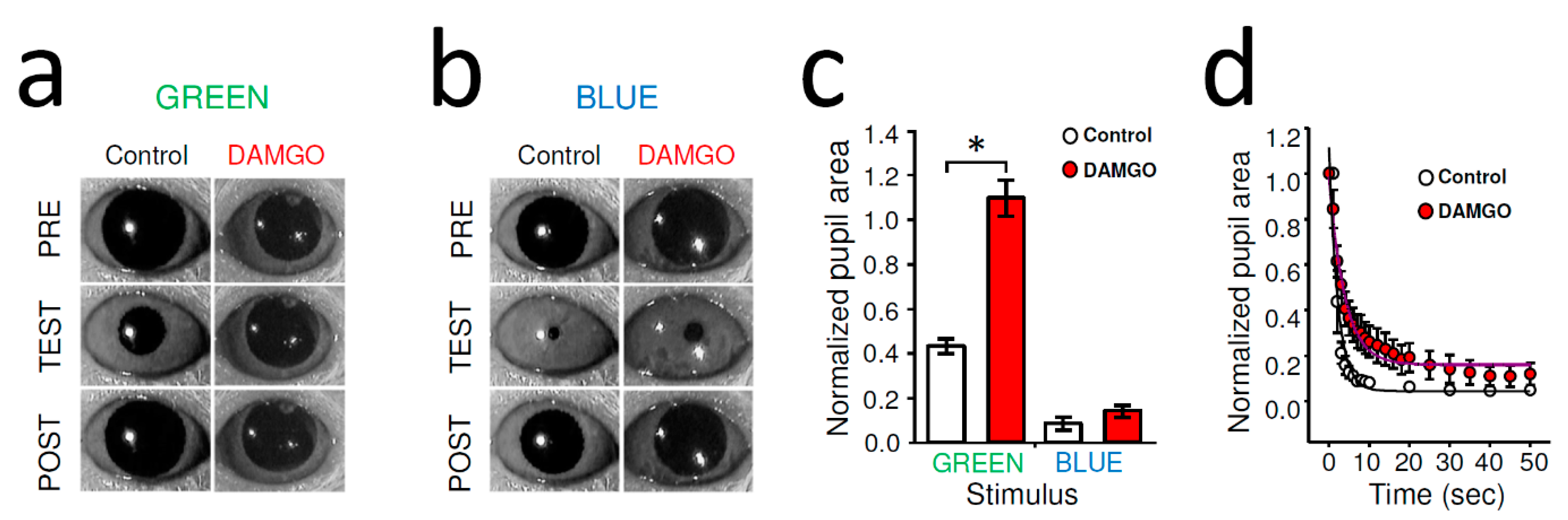 icd10 miotic pupil