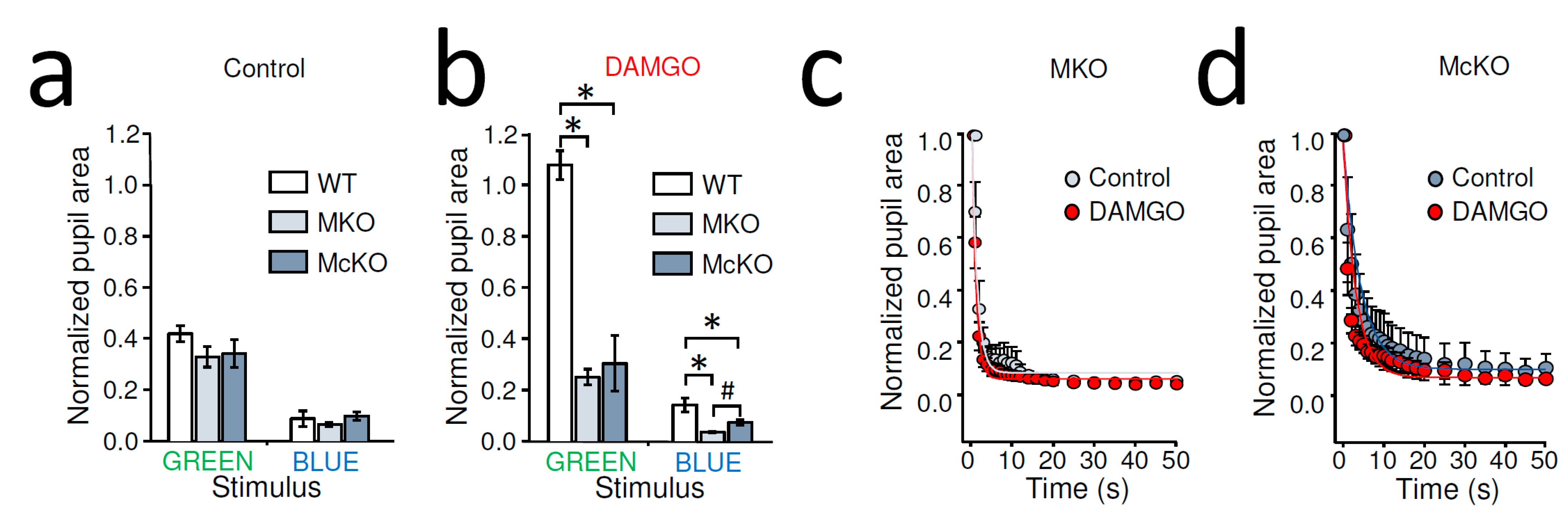 Ijms 22 00554 g002 Ijms 22 00554 g002