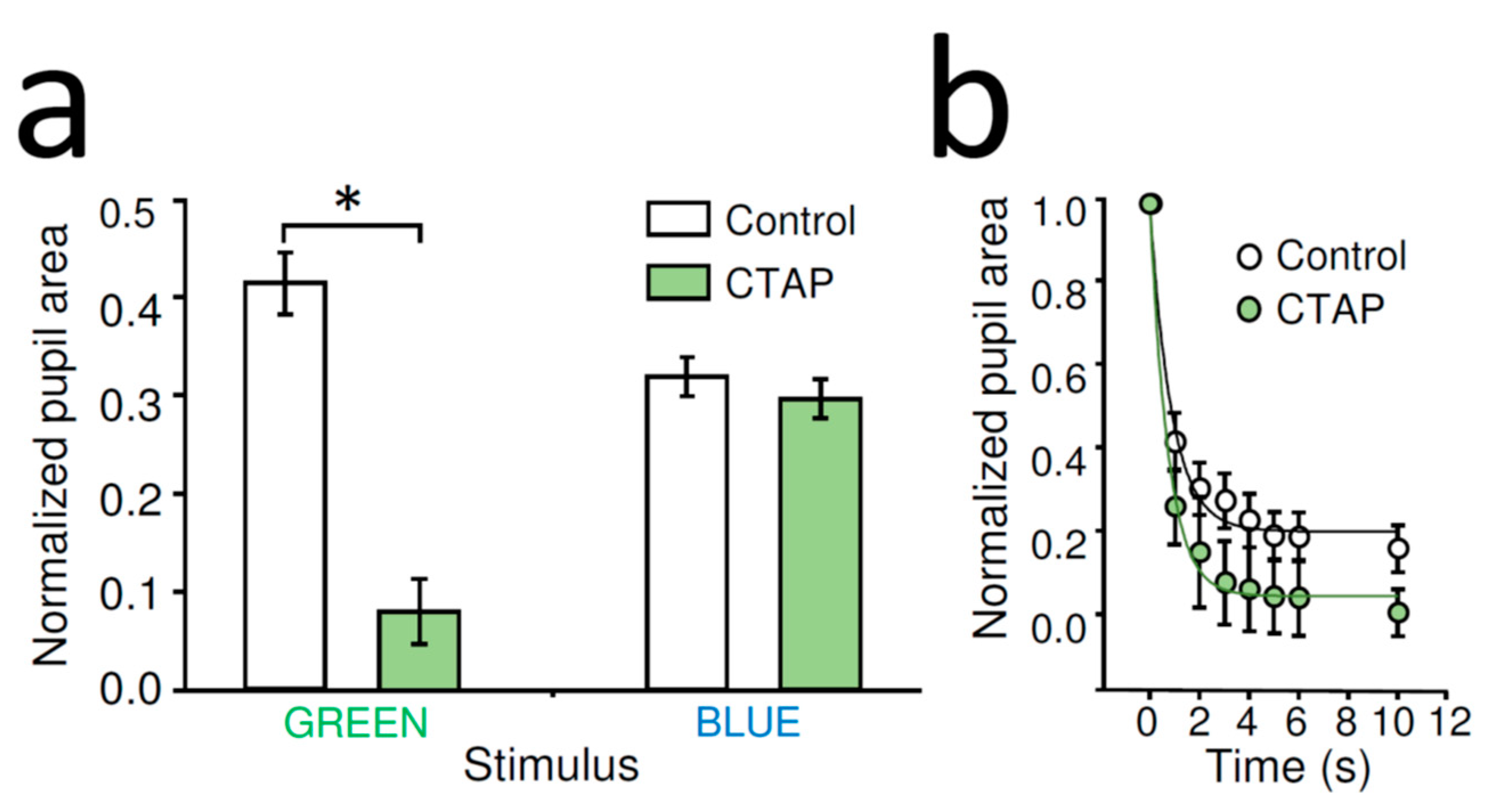 Ijms 22 00554 g003 Ijms 22 00554 g003