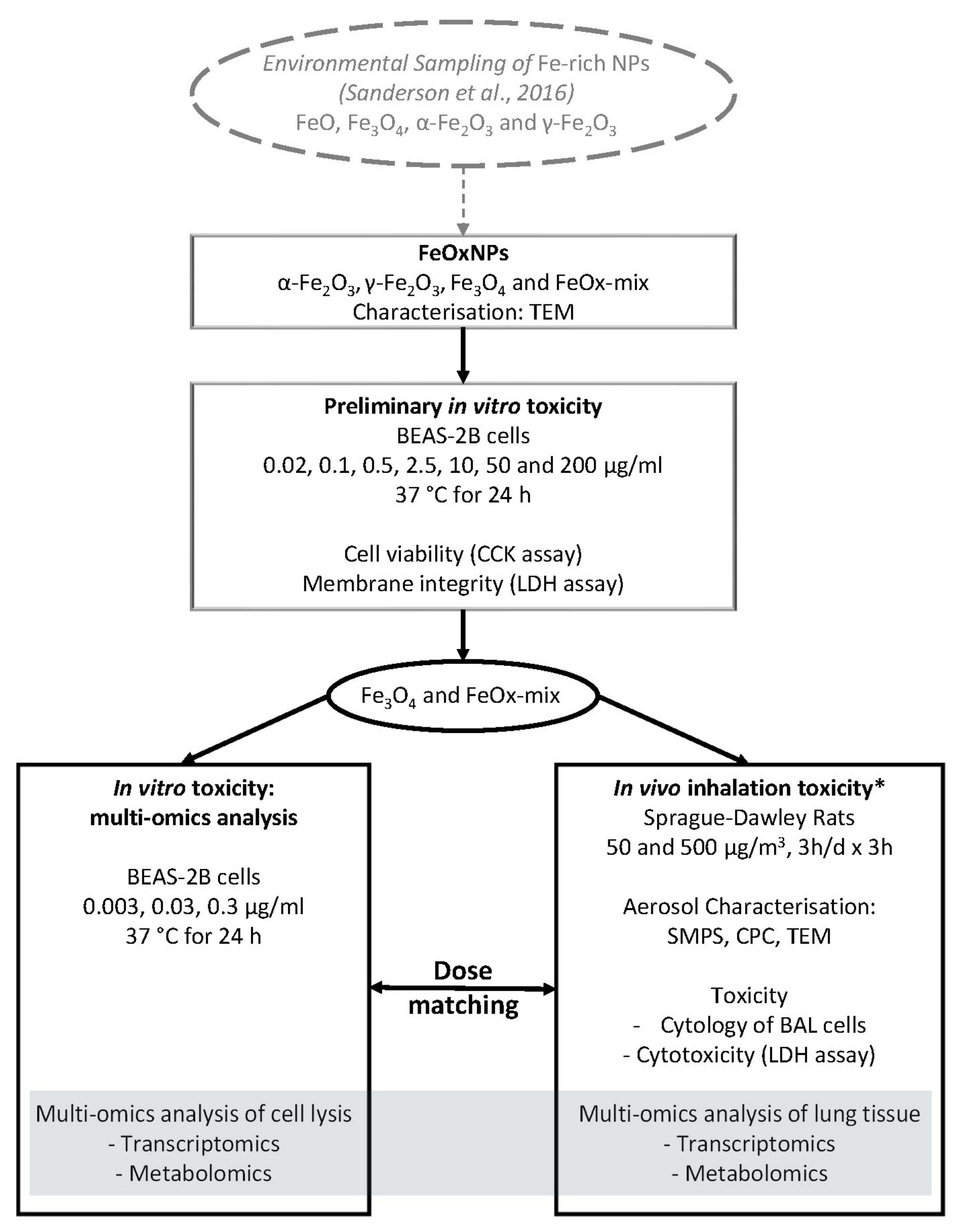 Ijms 22 00556 g001 Ijms 22 00556 g001