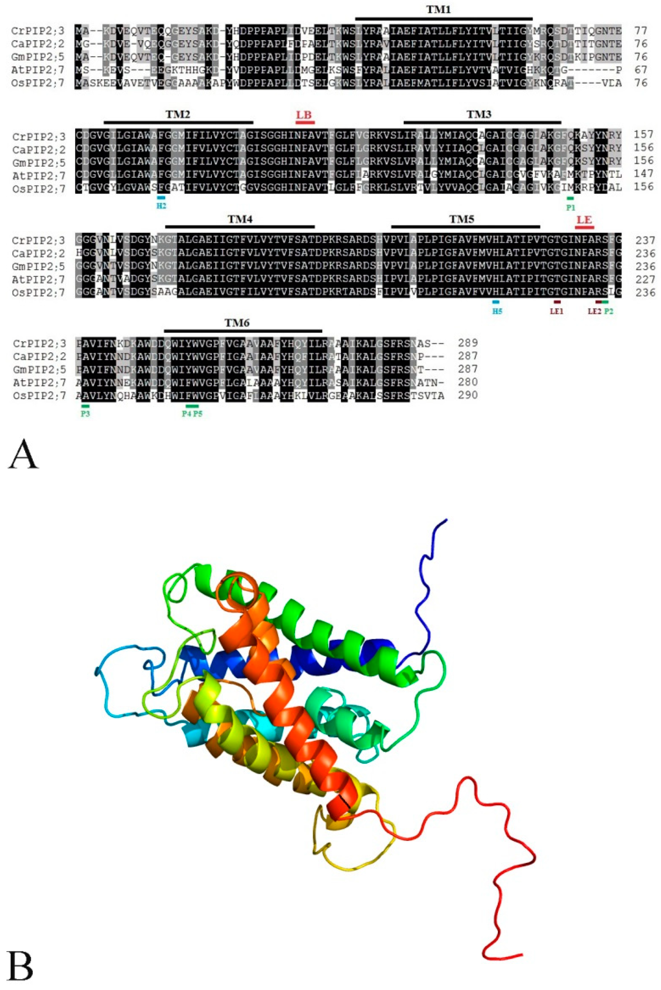 Ijms 22 00565 g001a Ijms 22 00565 g001a
