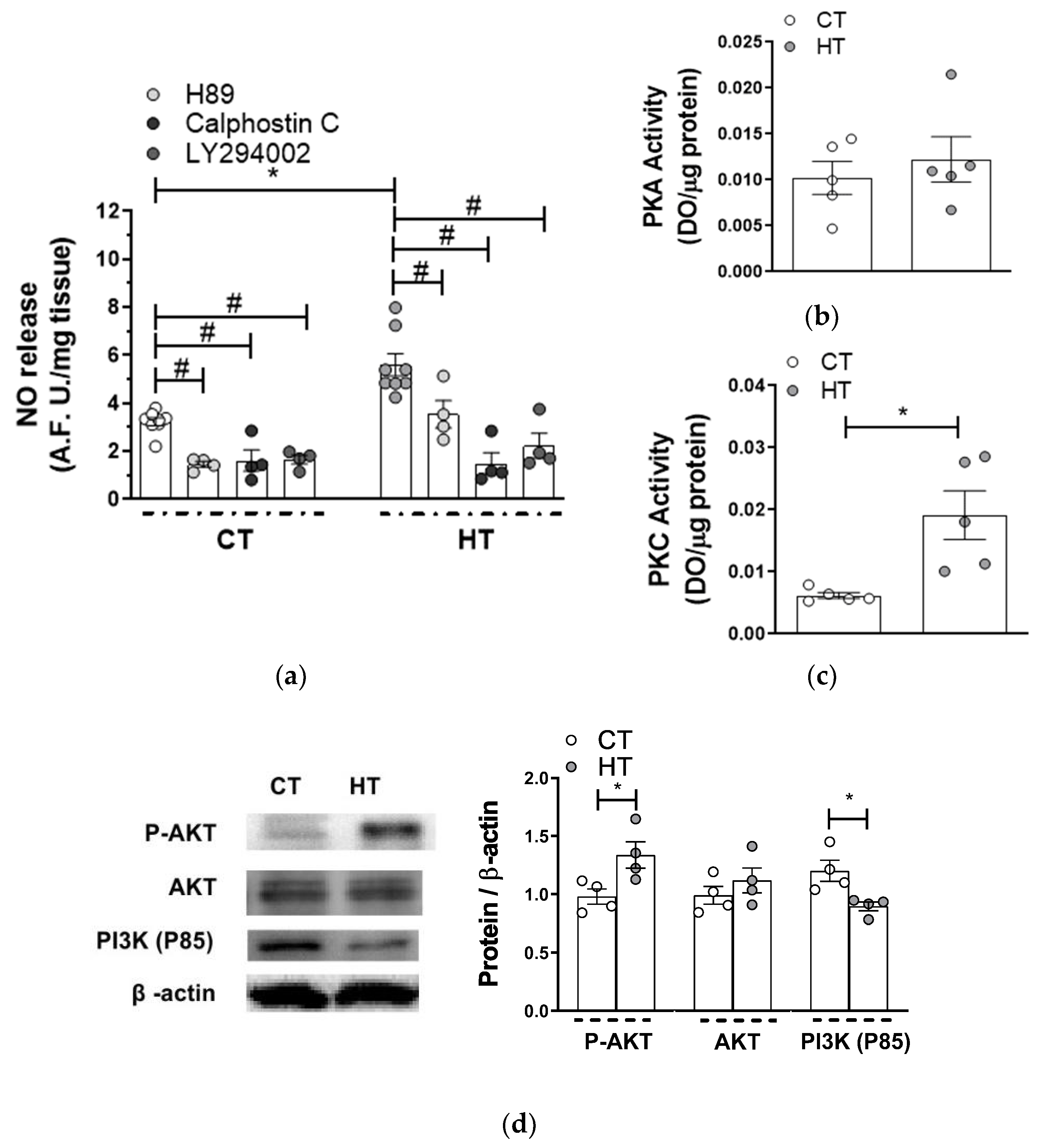 Ijms 22 00570 g006 Ijms 22 00570 g006