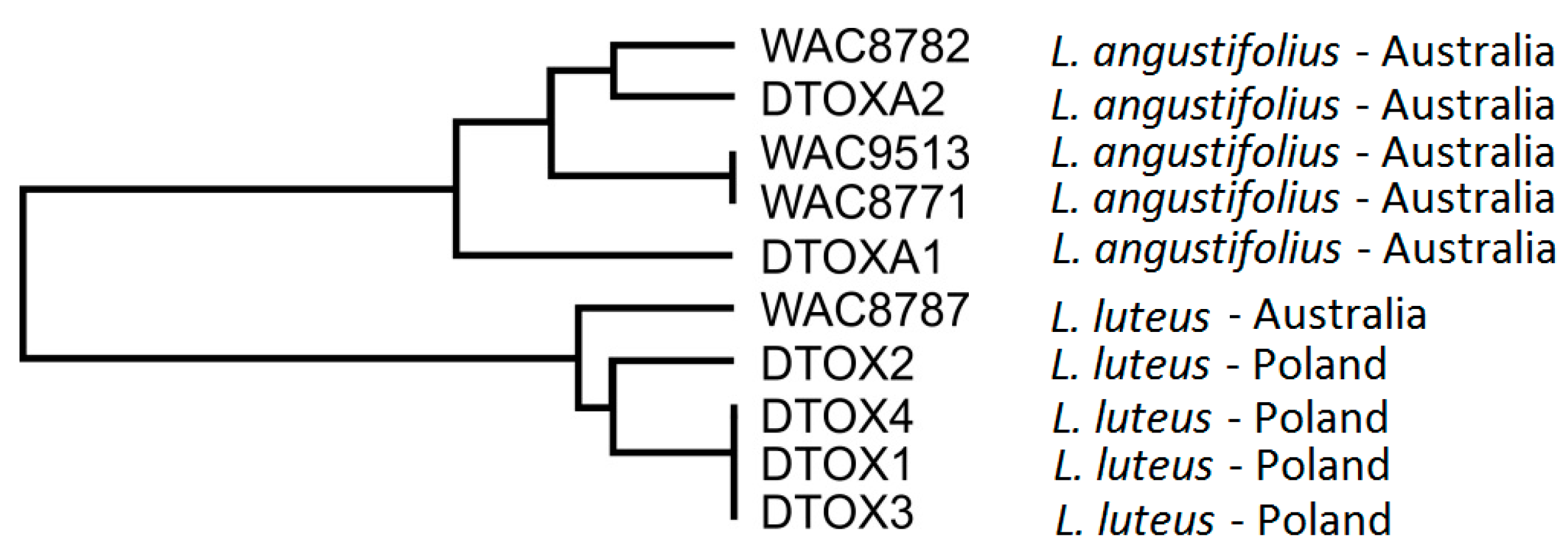 Ijms 22 00574 g001 Ijms 22 00574 g001
