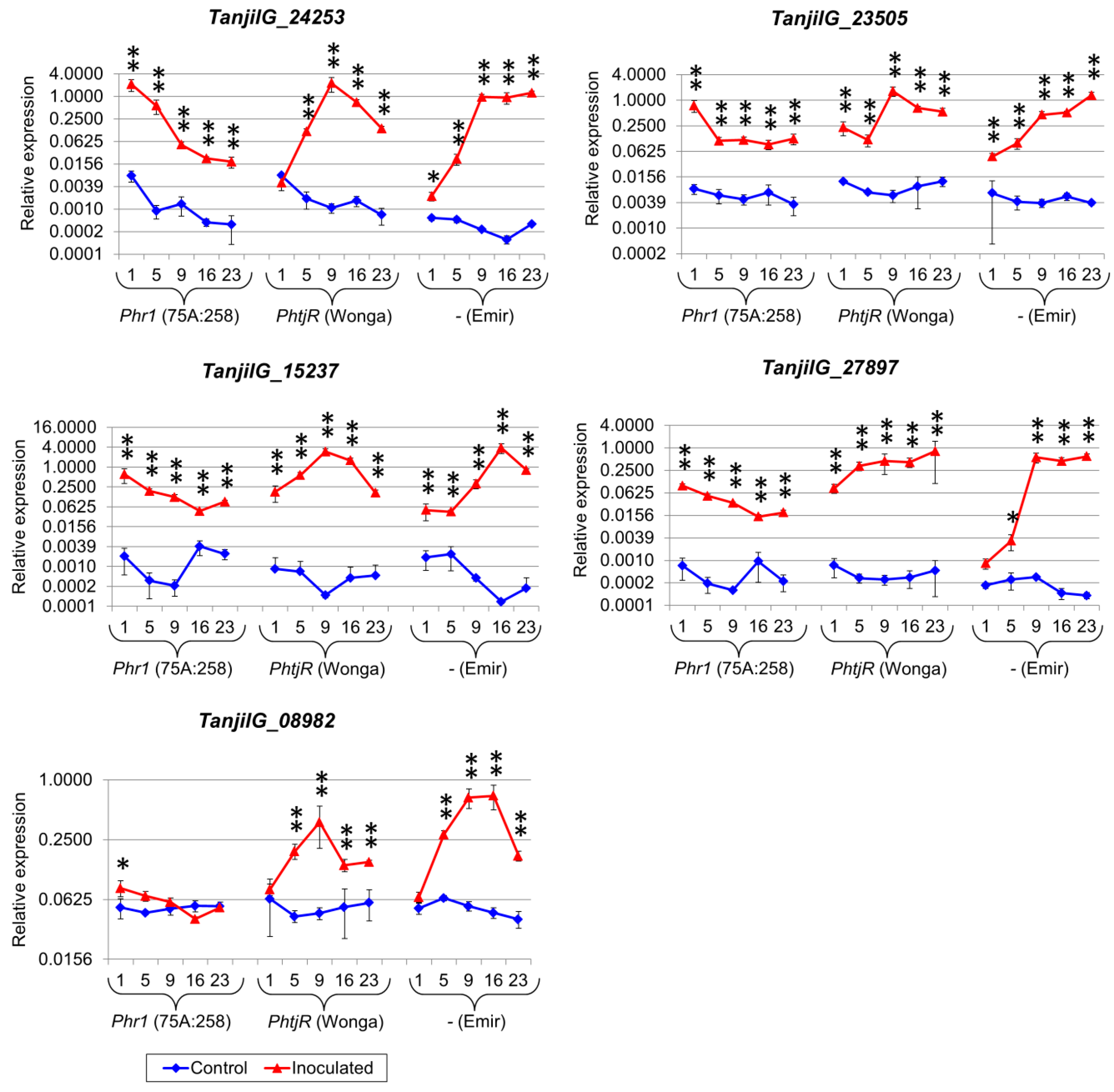 Ijms 22 00574 g003 Ijms 22 00574 g003