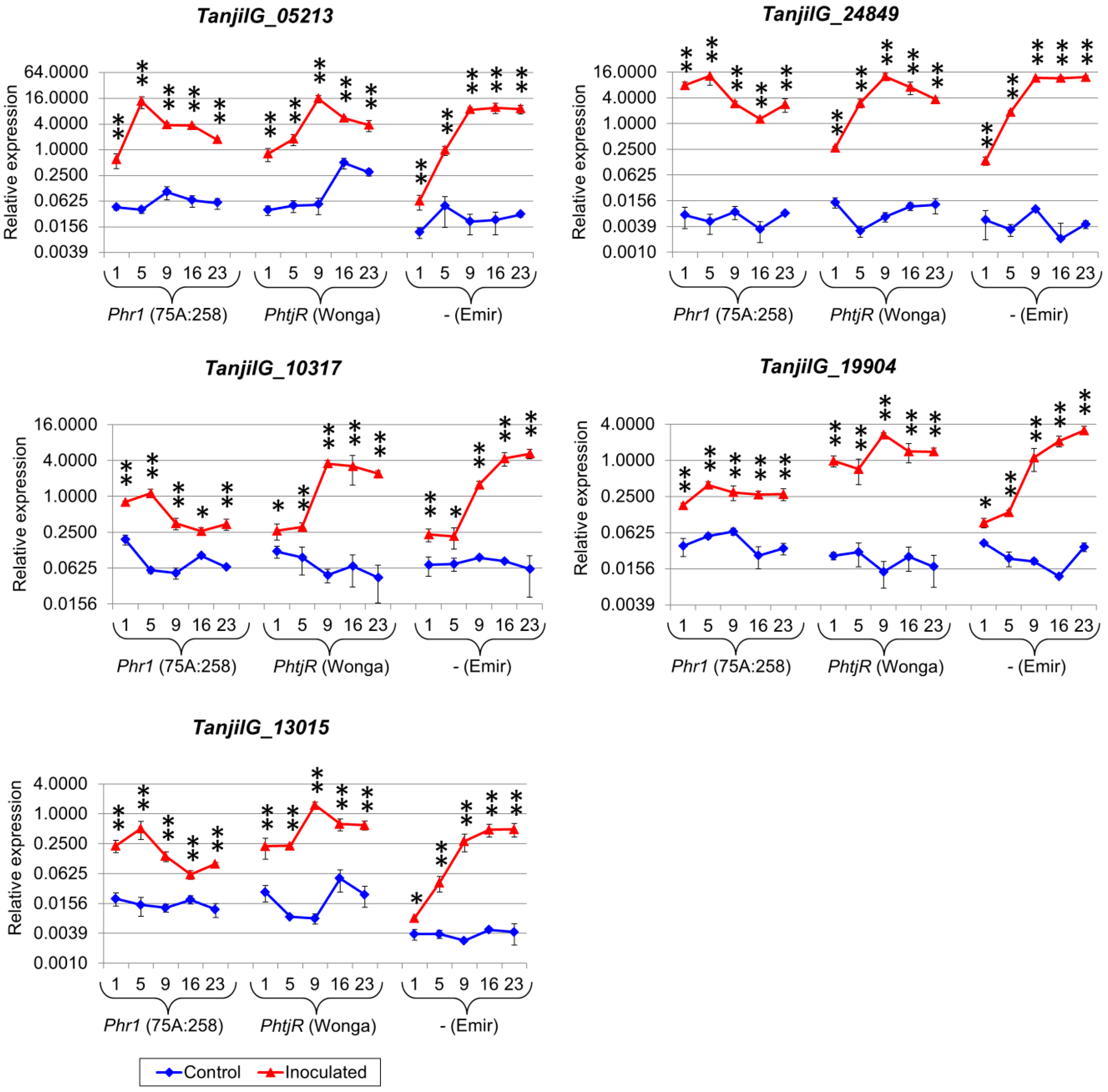 Ijms 22 00574 g004 Ijms 22 00574 g004