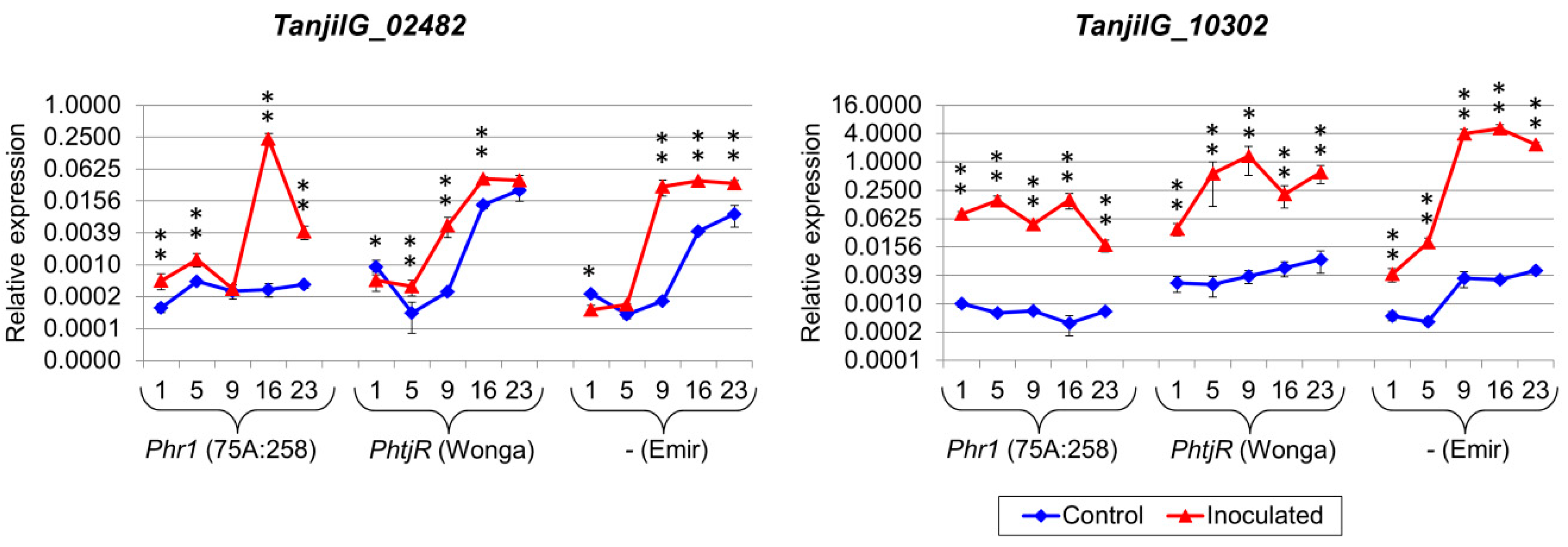 Ijms 22 00574 g005 Ijms 22 00574 g005