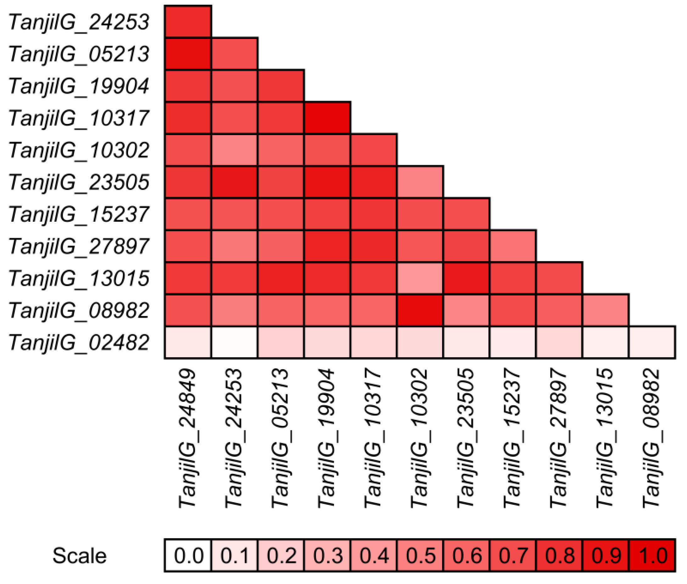 Ijms 22 00574 g006 Ijms 22 00574 g006