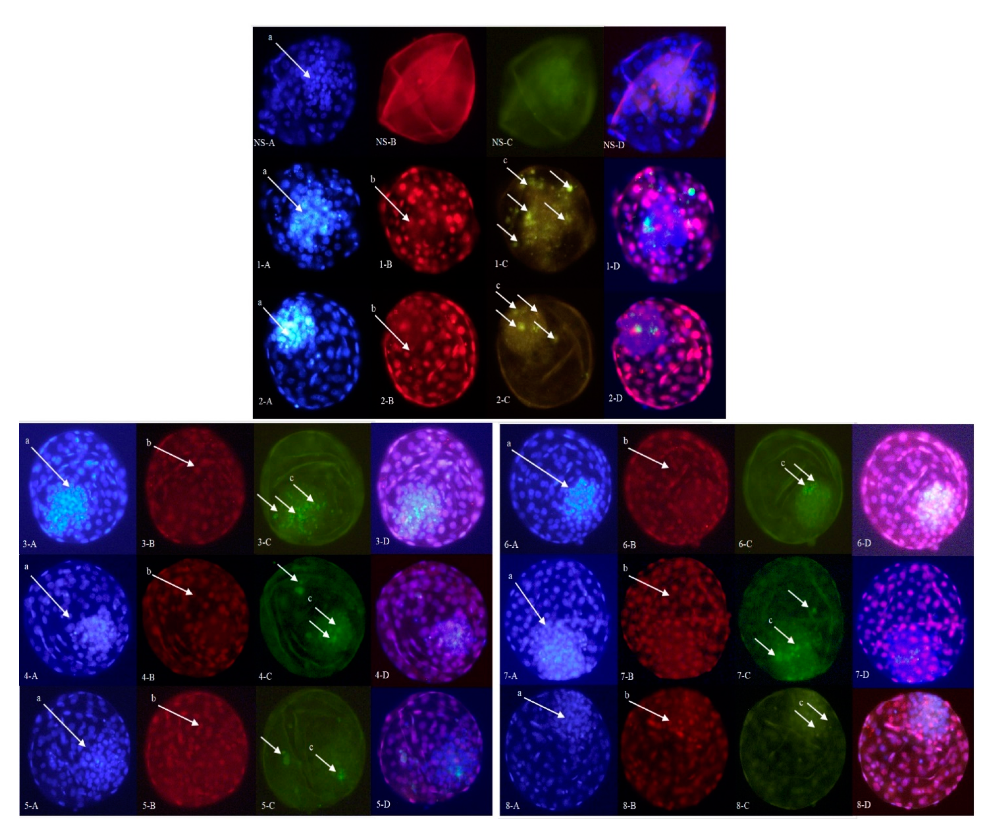 Ijms 22 00578 g002 Ijms 22 00578 g002