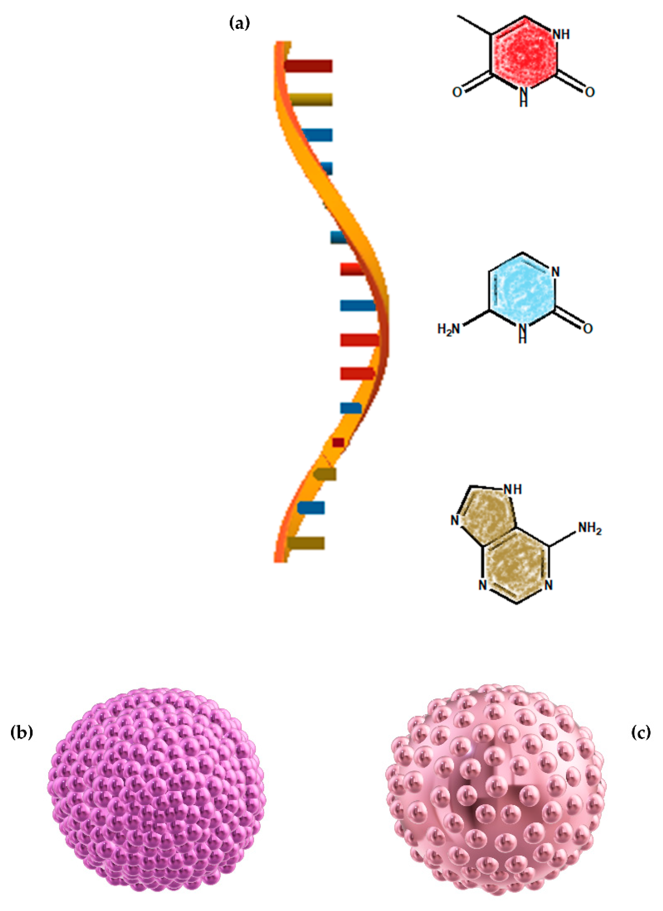 Ijms 22 00584 sch002