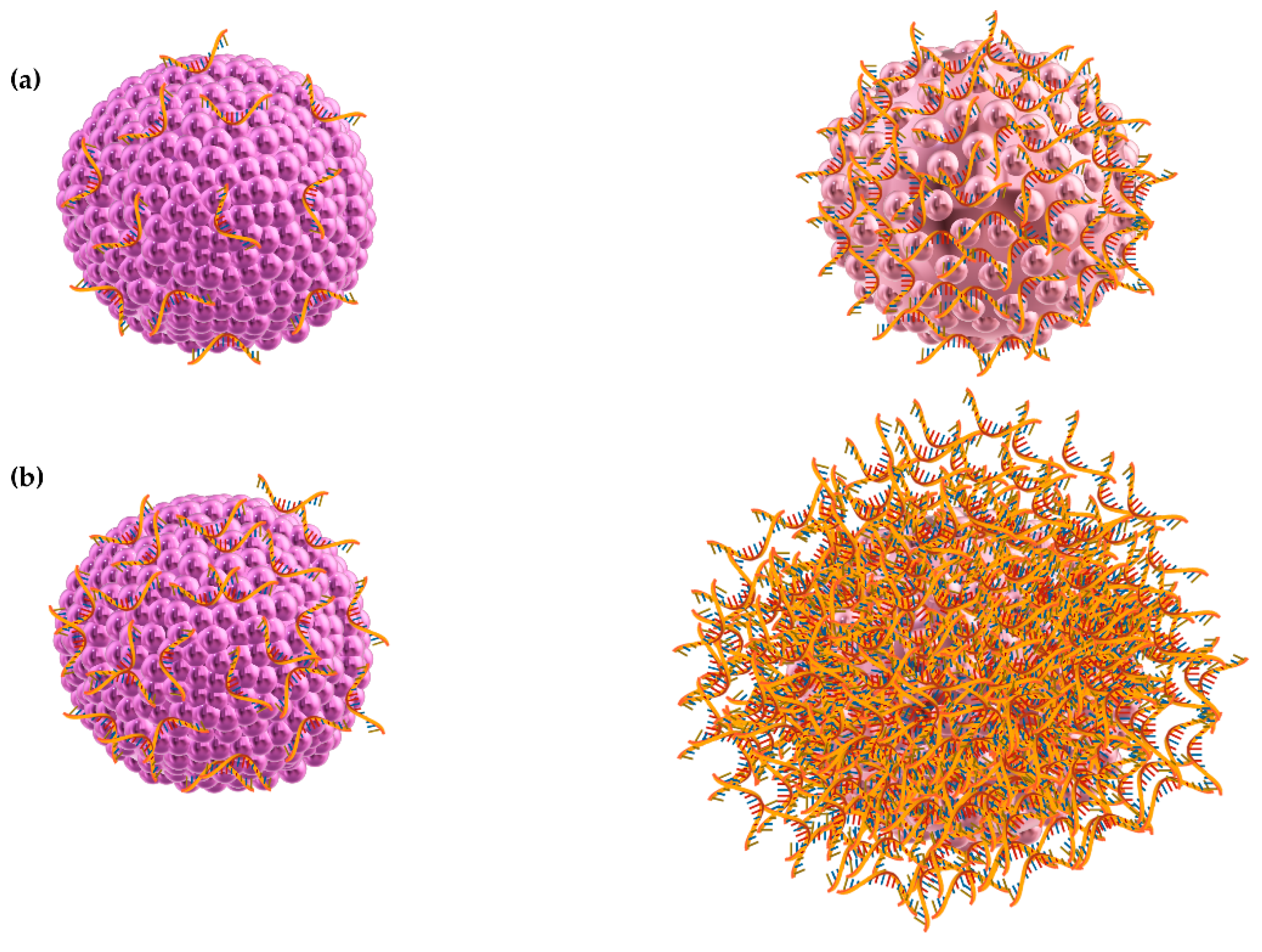 Ijms 22 00584 sch003