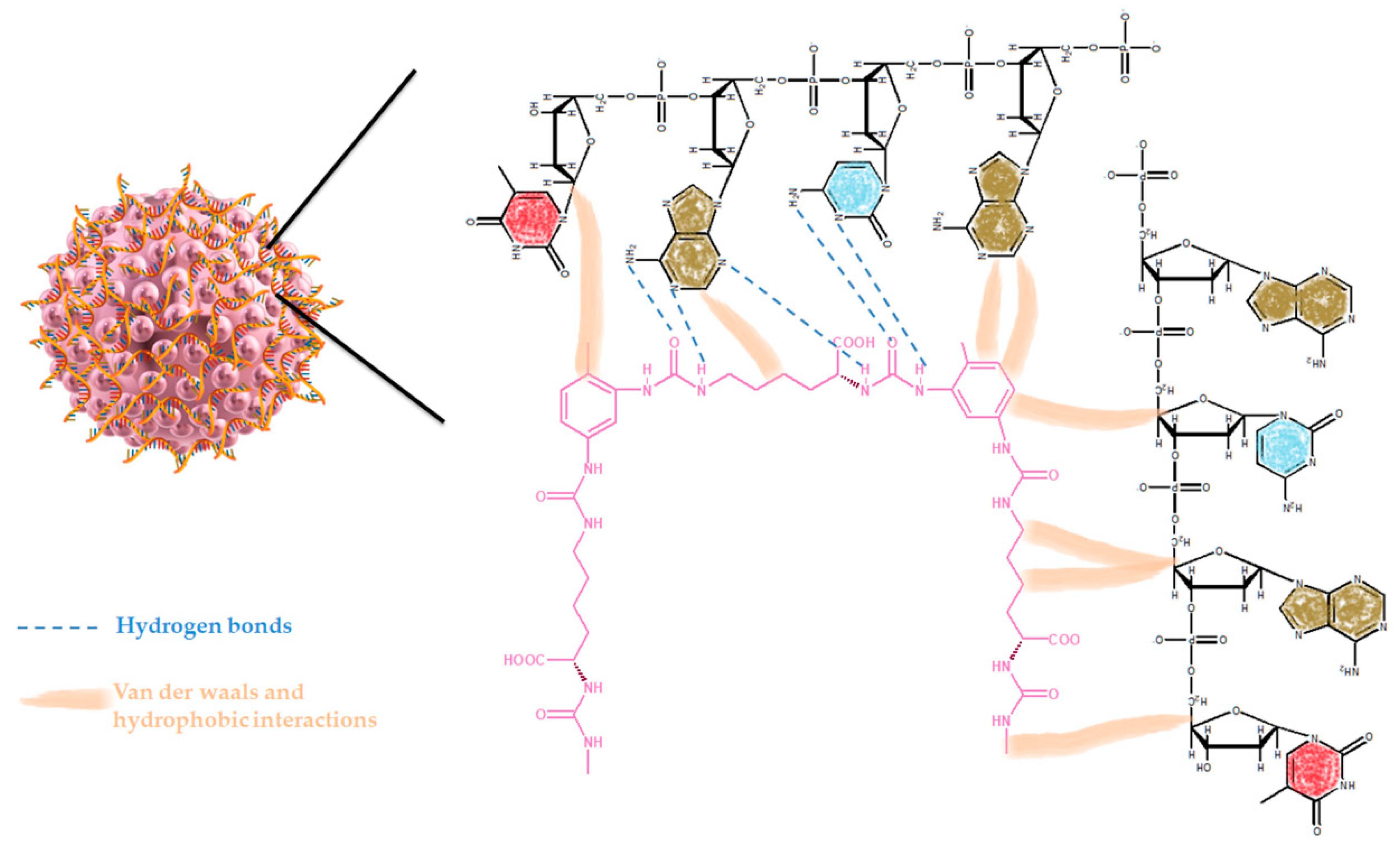 Ijms 22 00584 sch004