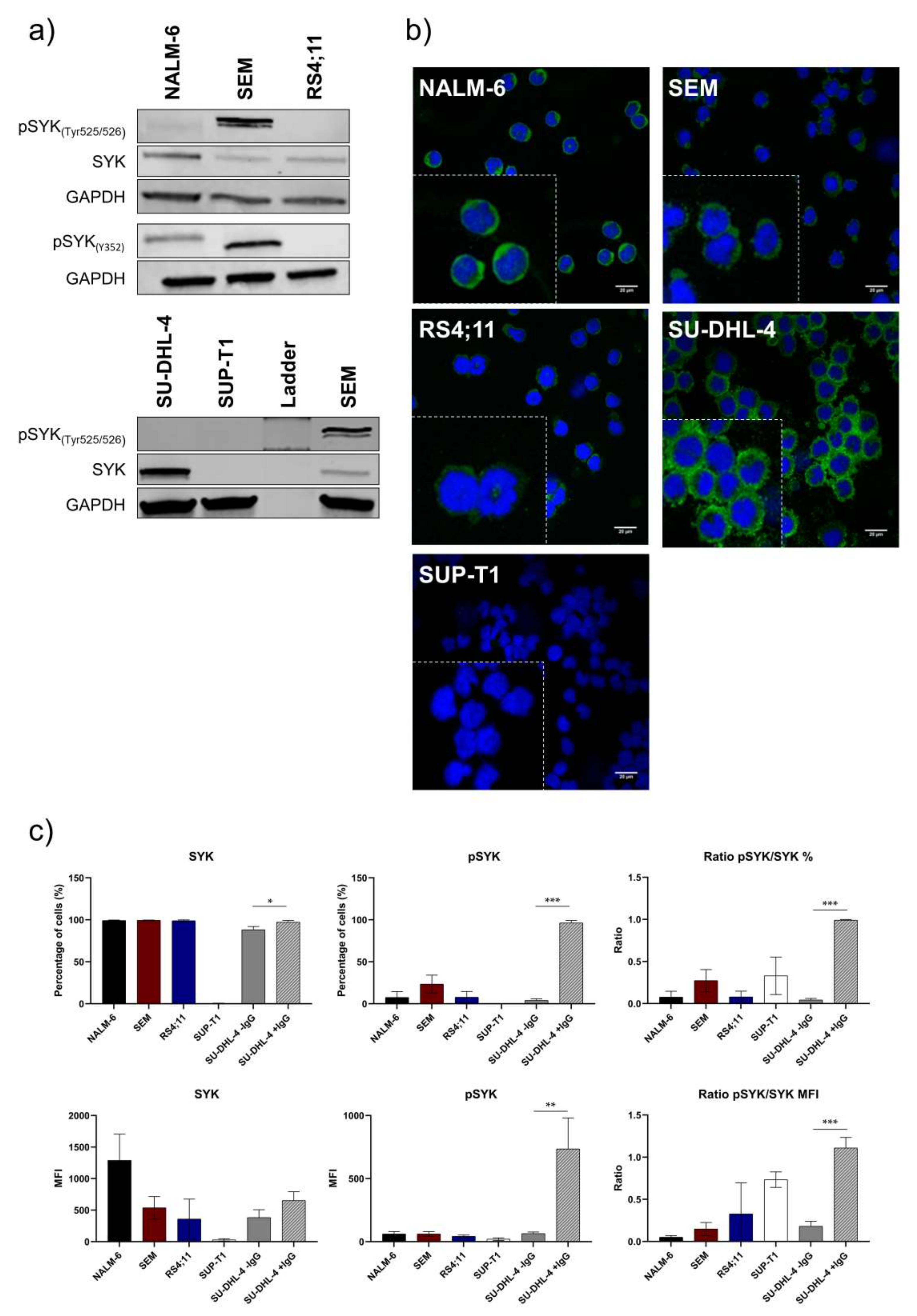Ijms 22 00592 g001 Ijms 22 00592 g001