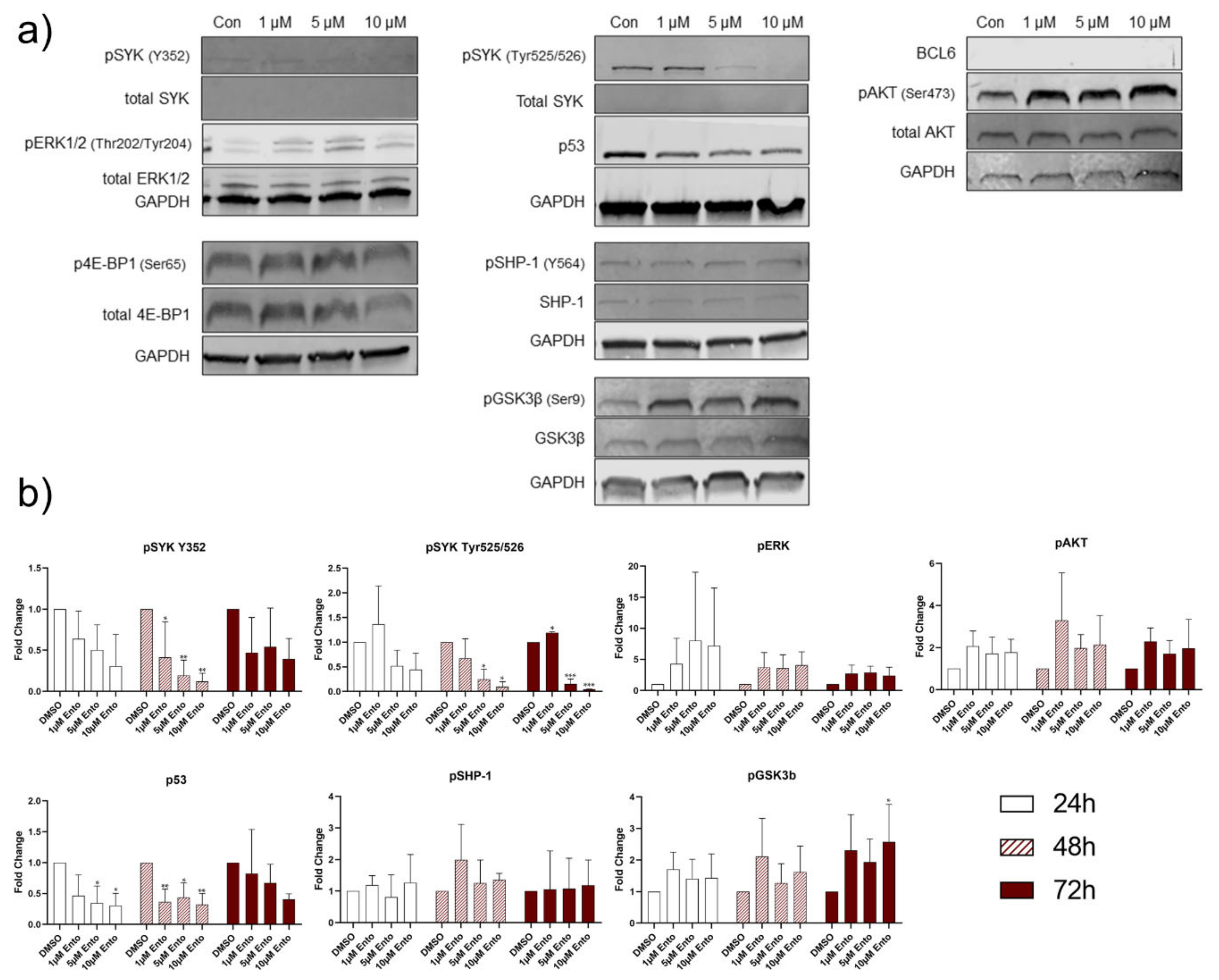 Ijms 22 00592 g008 Ijms 22 00592 g008