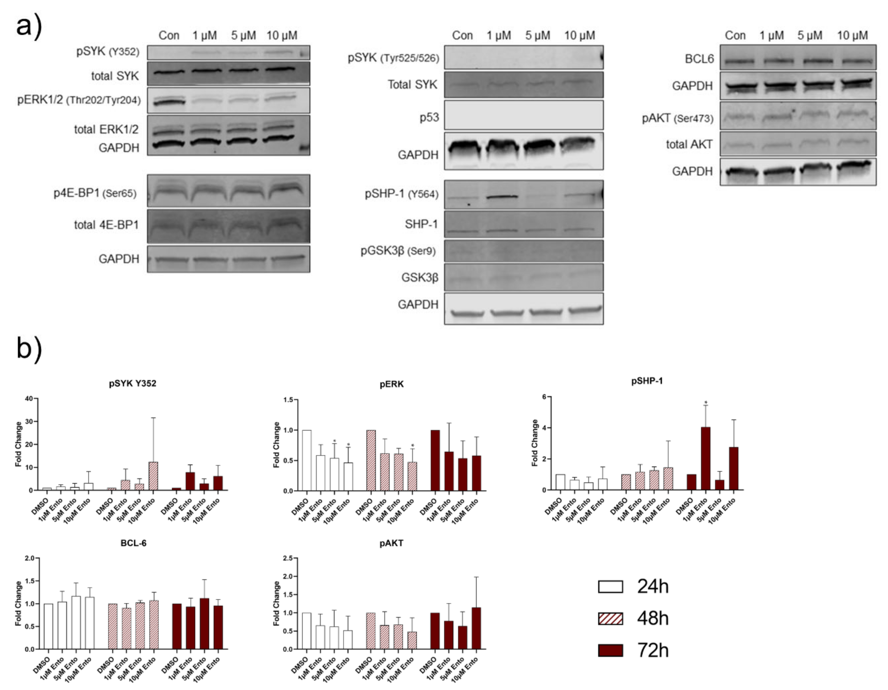 Ijms 22 00592 g009 Ijms 22 00592 g009