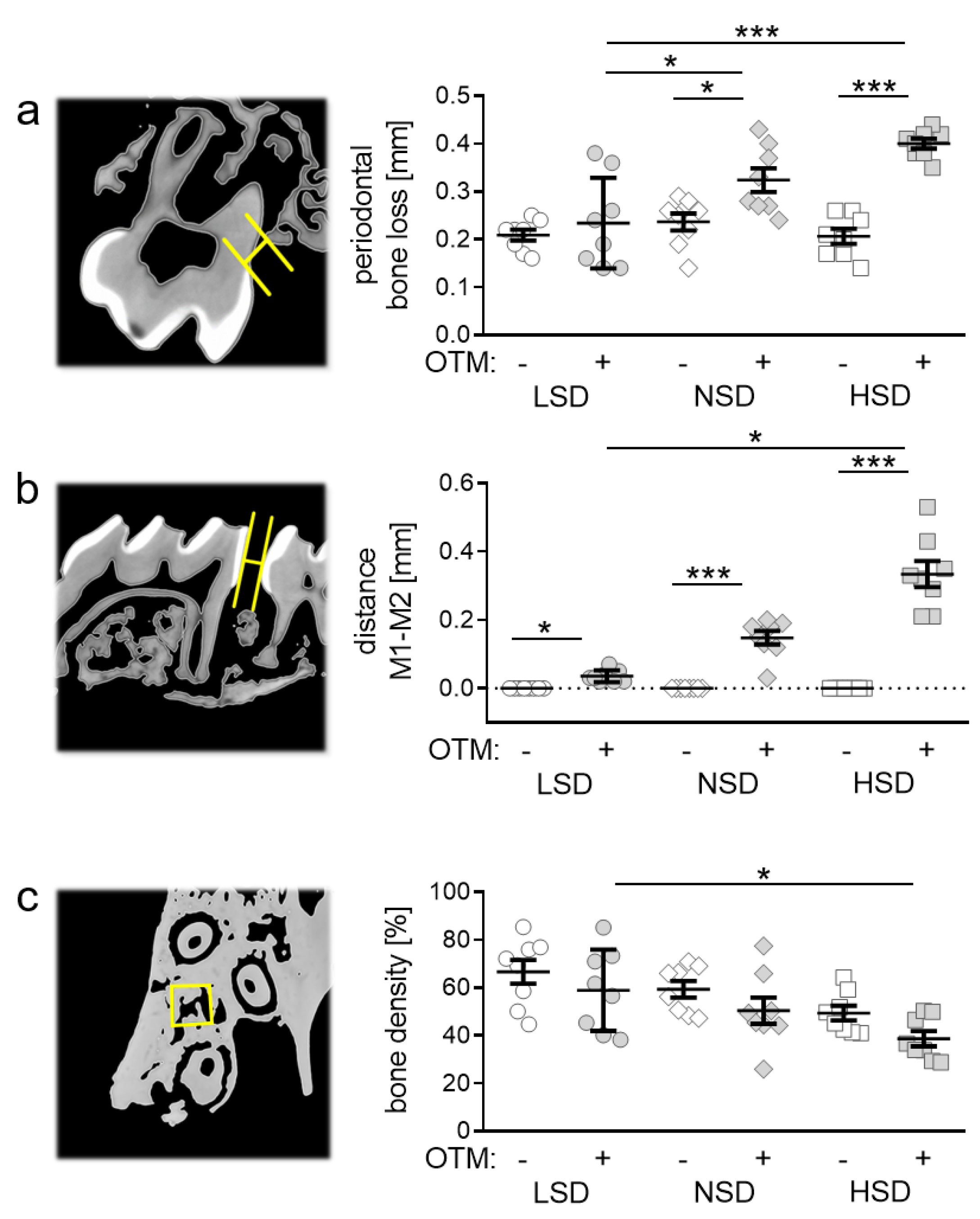 Ijms 22 00596 g003 Ijms 22 00596 g003