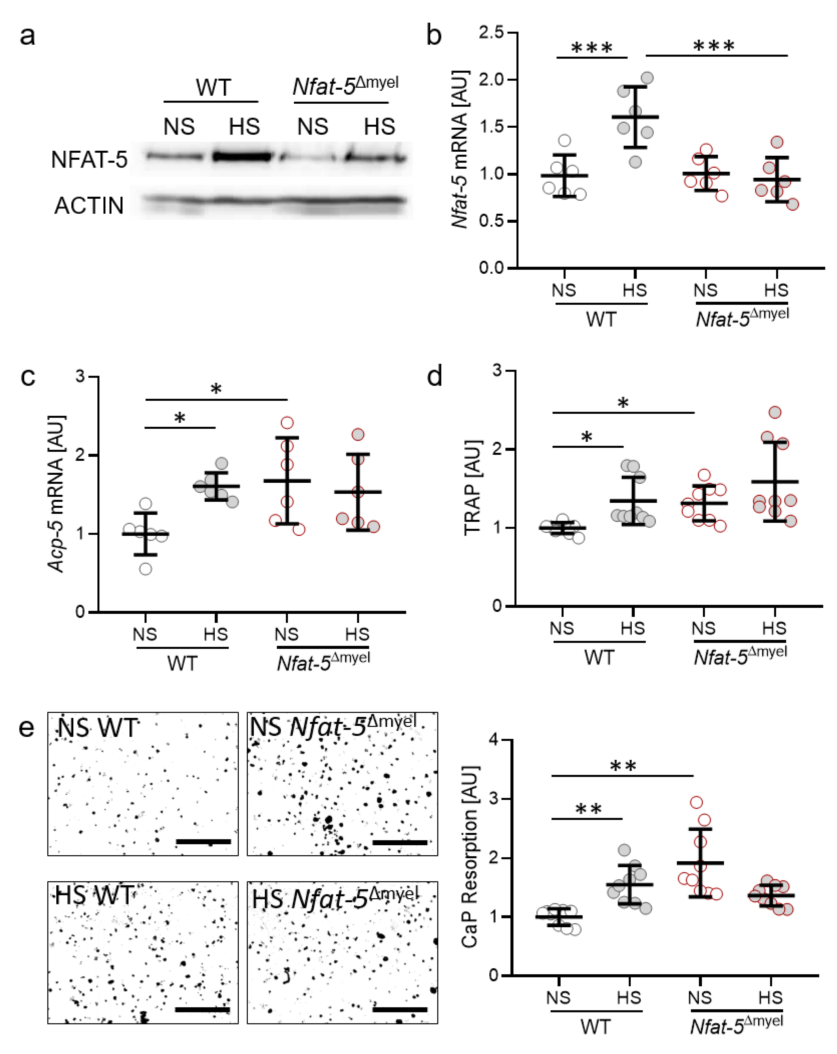 Ijms 22 00596 g004 Ijms 22 00596 g004
