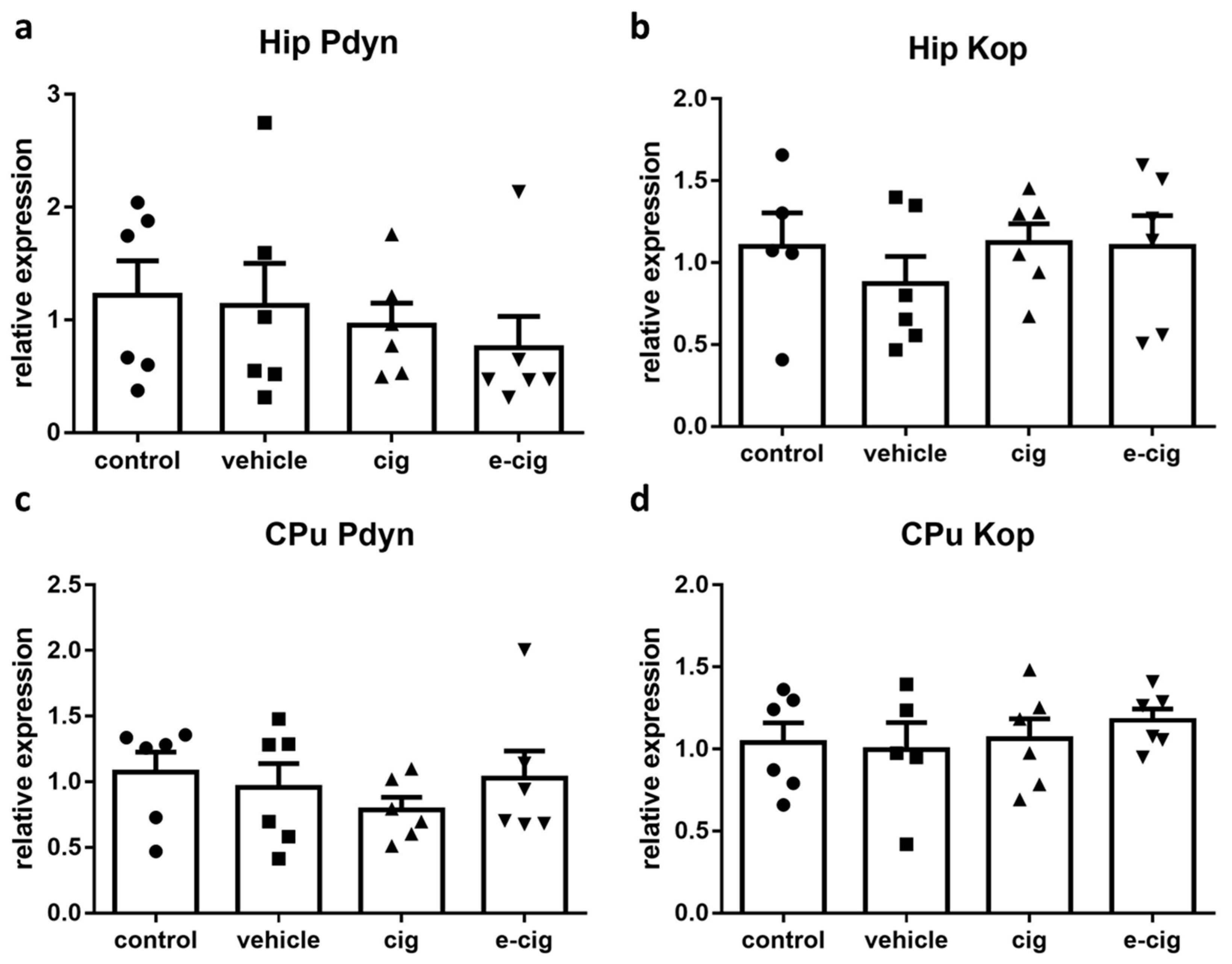 Ijms 22 00599 g003 Ijms 22 00599 g003