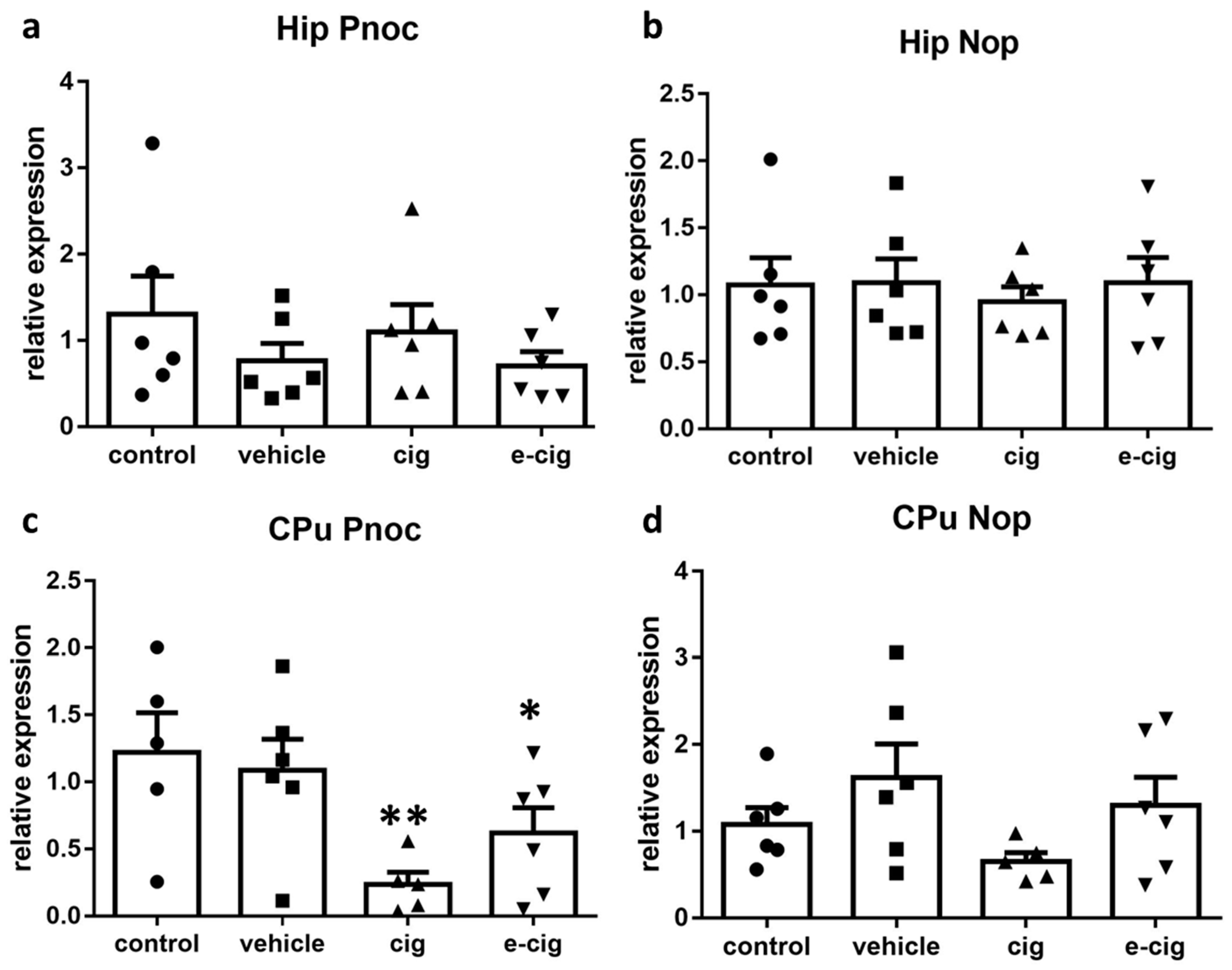 Ijms 22 00599 g004 Ijms 22 00599 g004