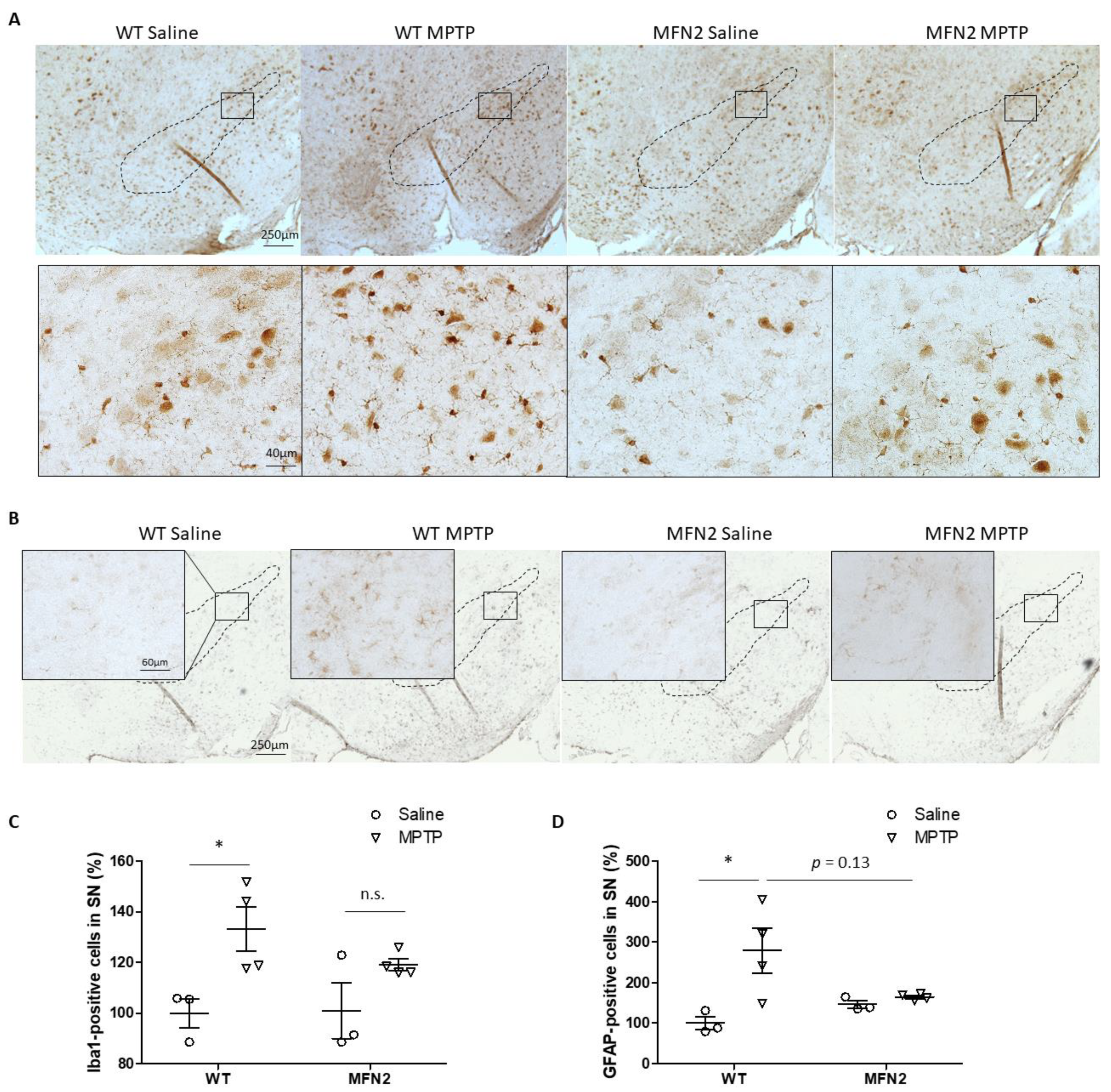 Ijms 22 00601 g004 Ijms 22 00601 g004
