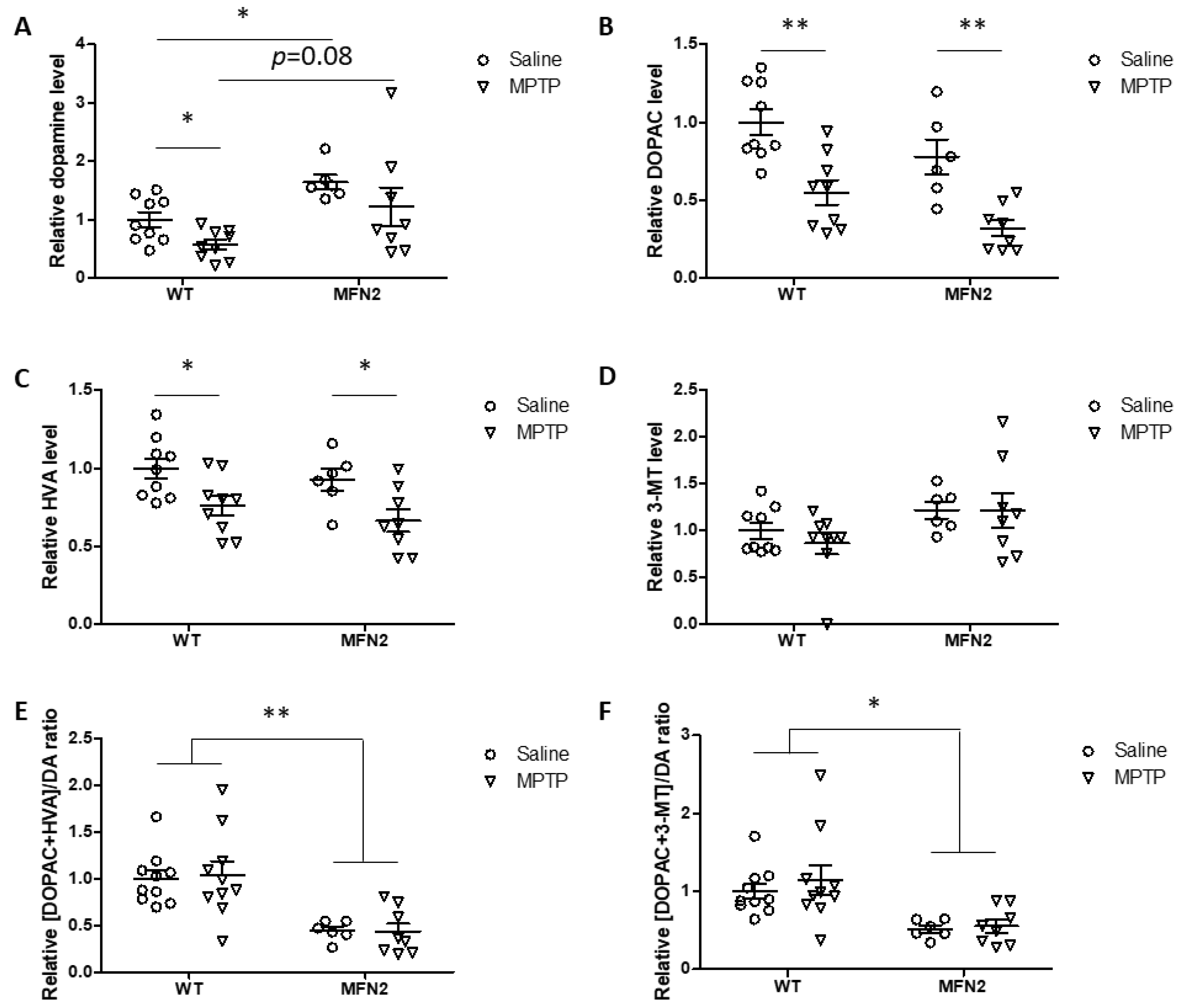 Ijms 22 00601 g006 Ijms 22 00601 g006