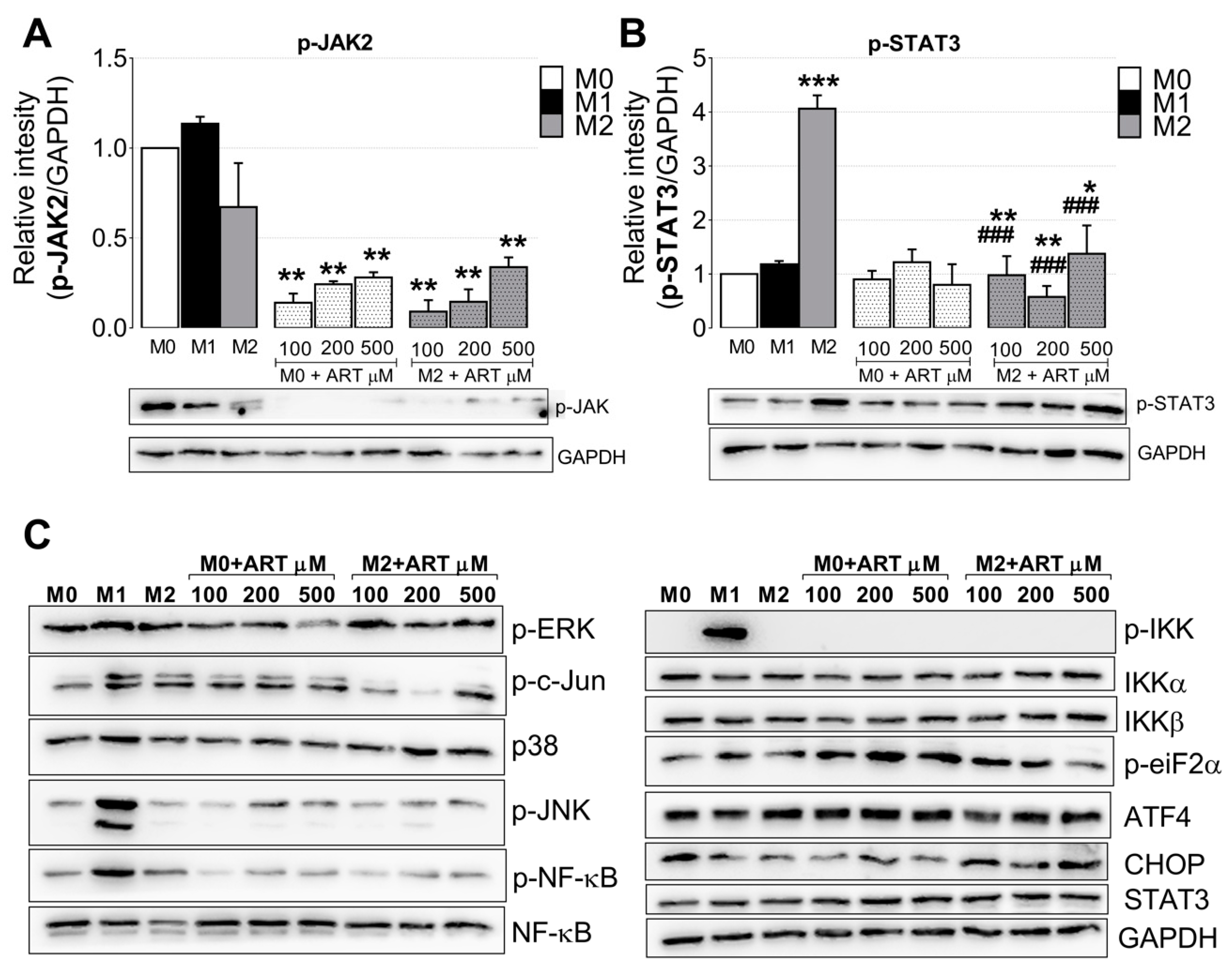 Ijms 22 00608 g005 Ijms 22 00608 g005