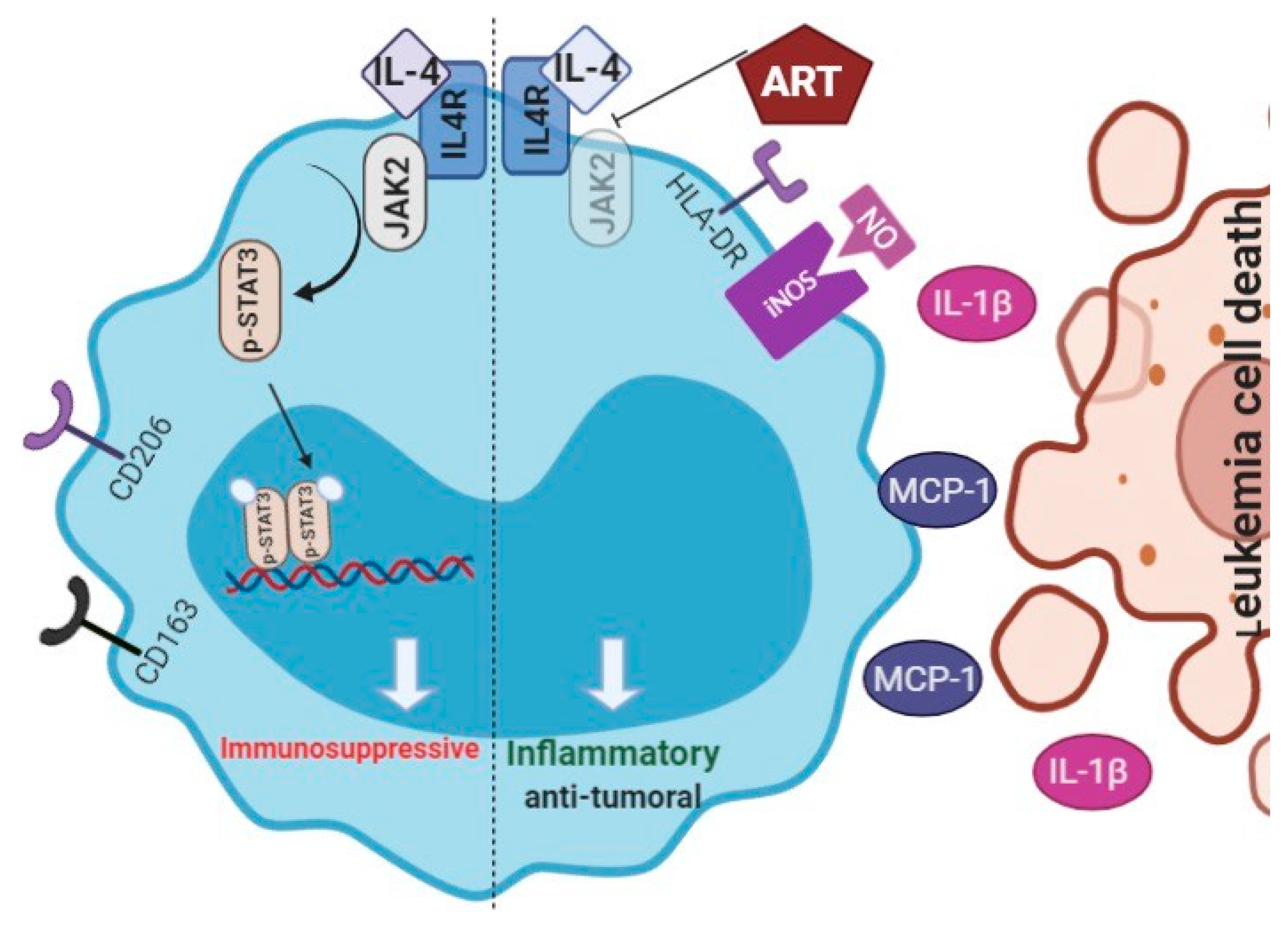 Ijms 22 00608 g007 Ijms 22 00608 g007
