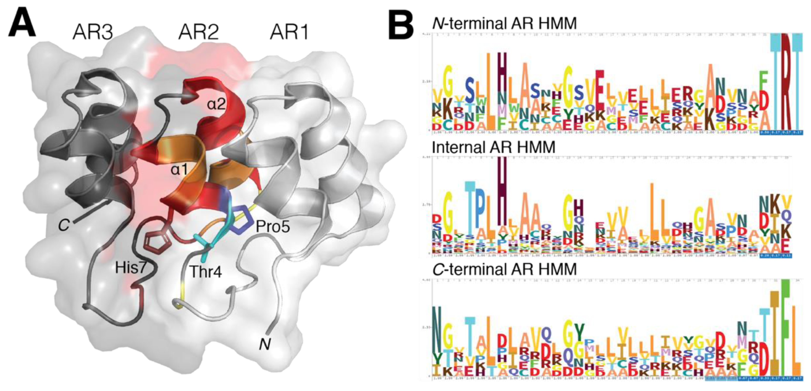 Ijms 22 00609 g001 Ijms 22 00609 g001