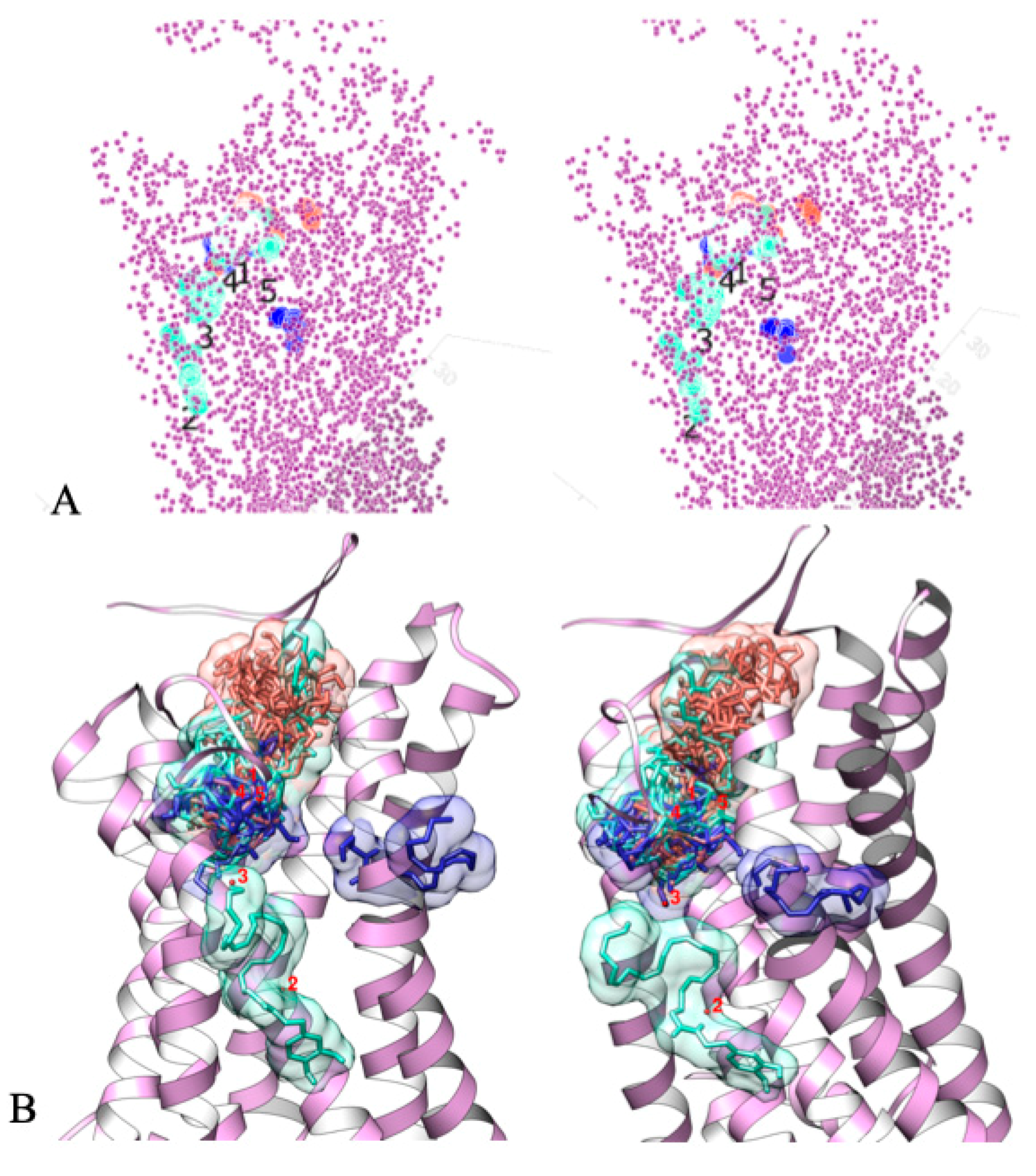 Ijms 22 00622 g003 Ijms 22 00622 g003