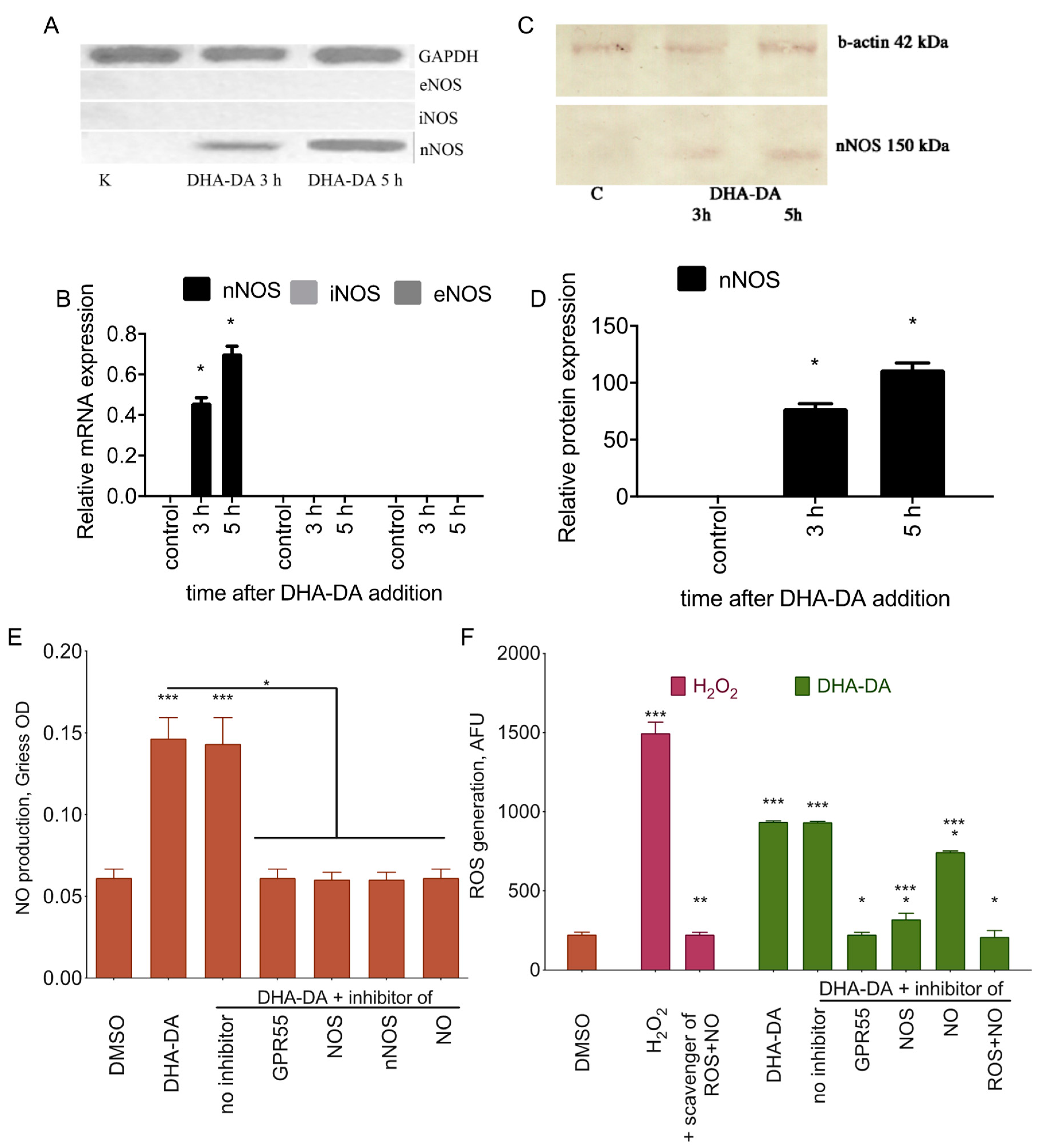 Ijms 22 00622 g007 Ijms 22 00622 g007