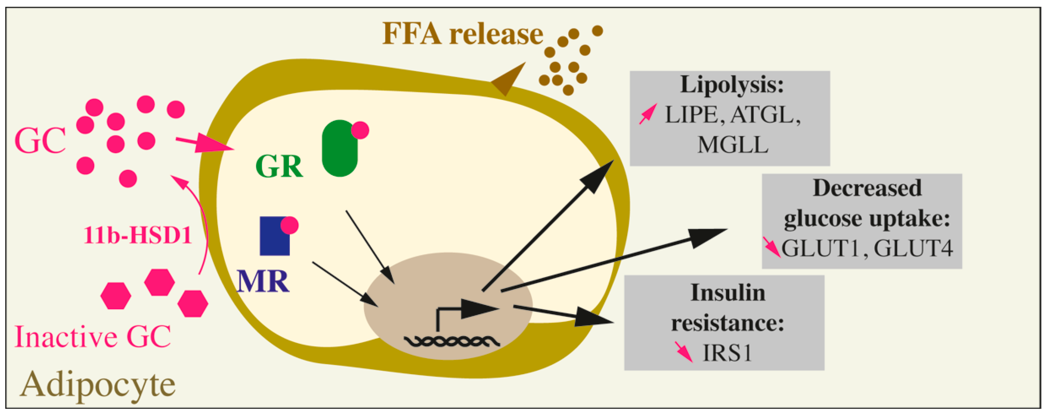 Ijms 22 00623 g002 Ijms 22 00623 g002