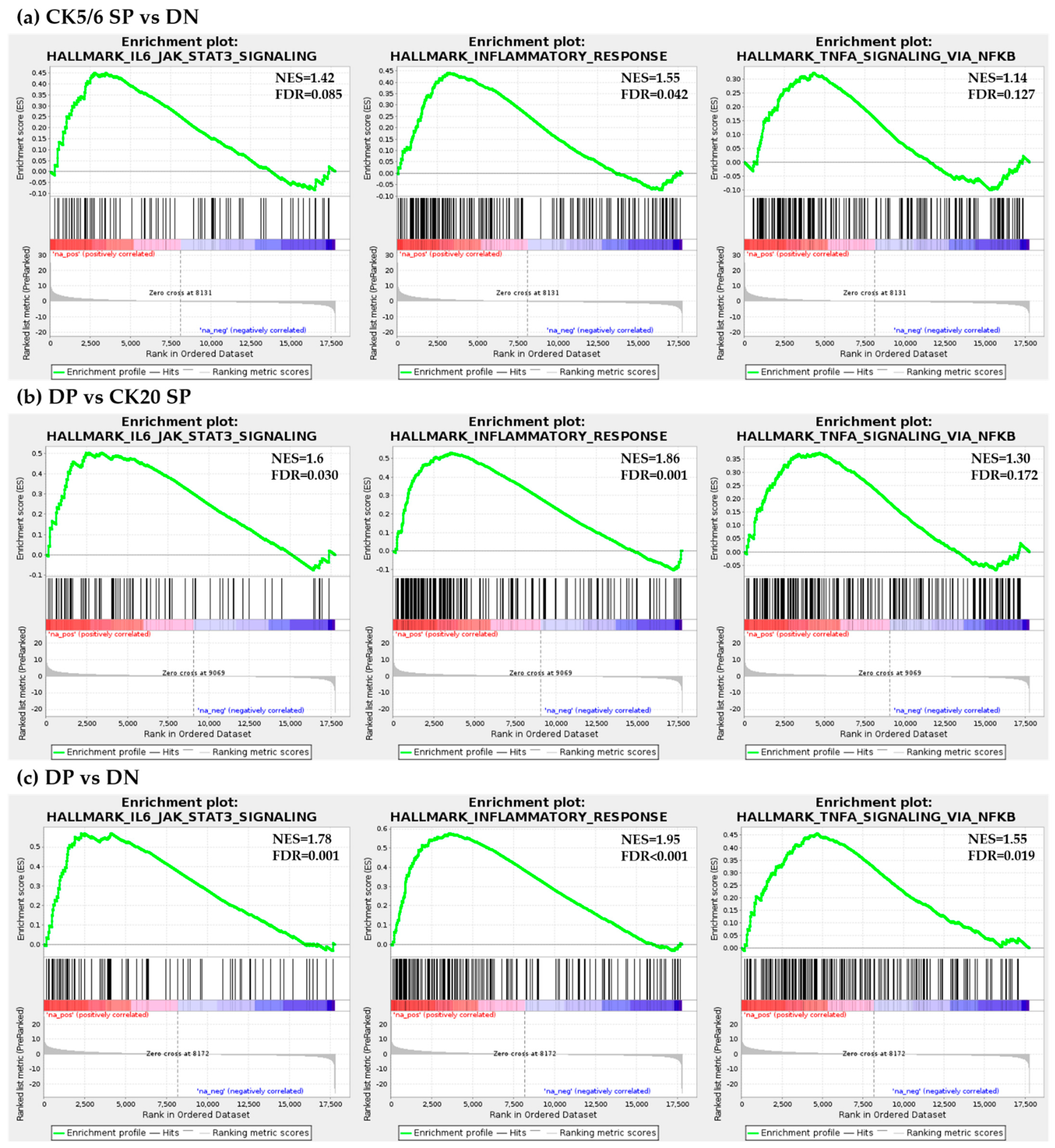 Ijms 22 00628 g004 Ijms 22 00628 g004