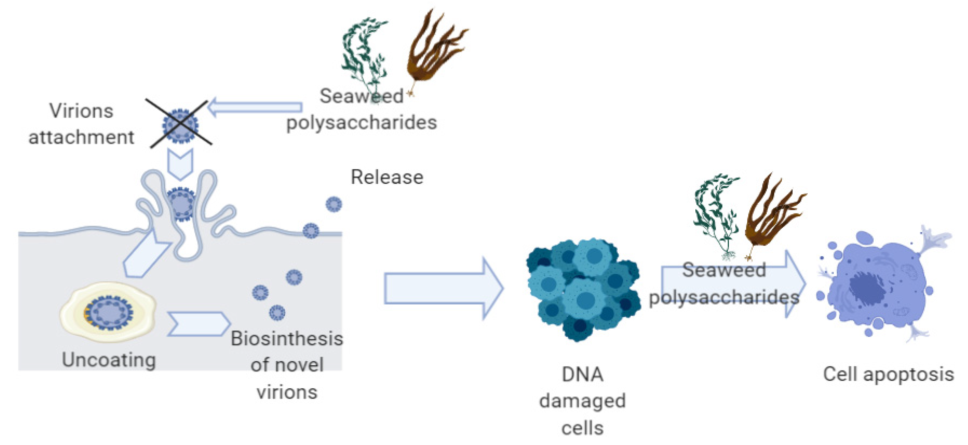 Ijms 22 00629 g002 Ijms 22 00629 g002