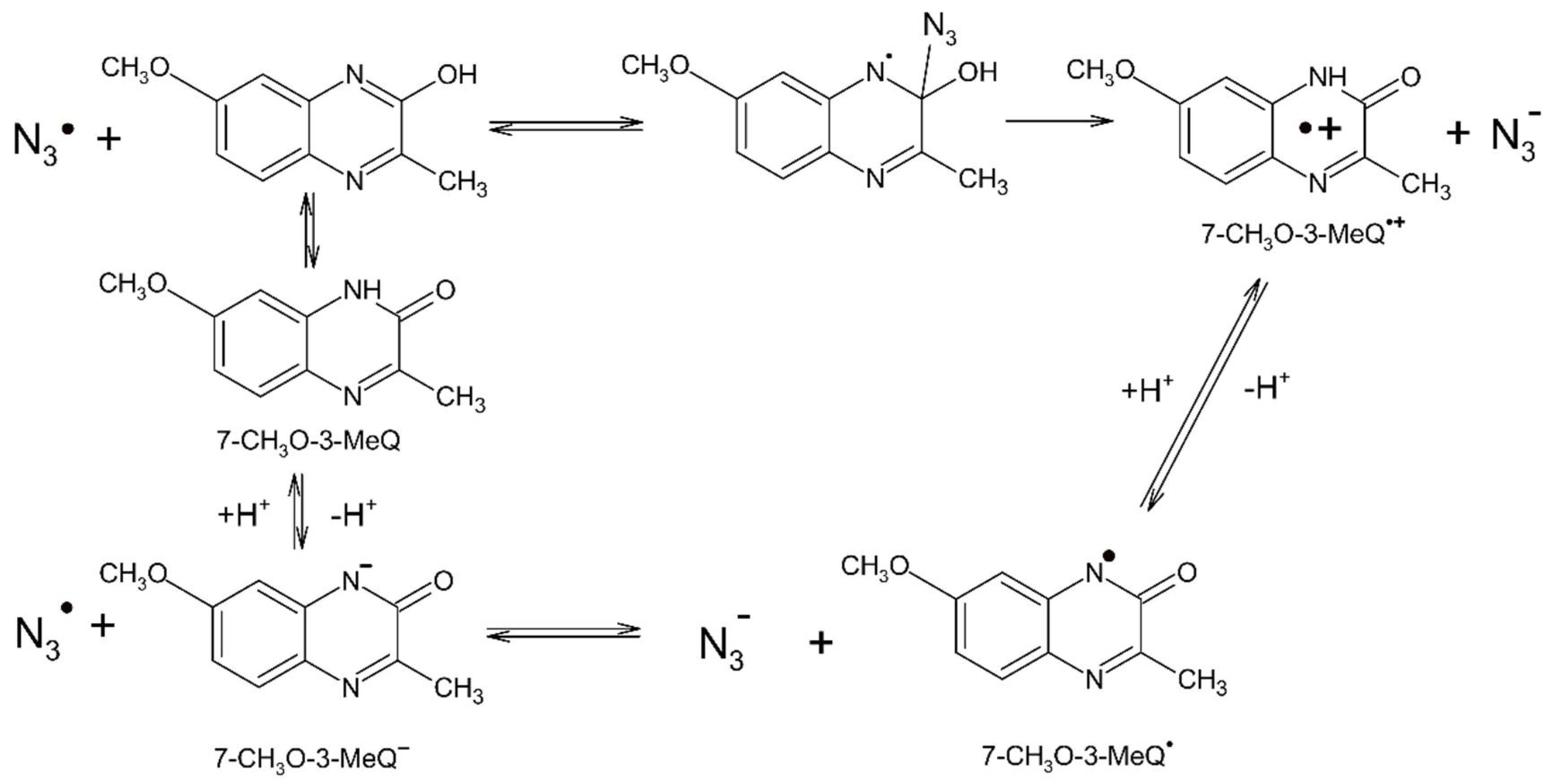 Ijms 22 00633 sch003