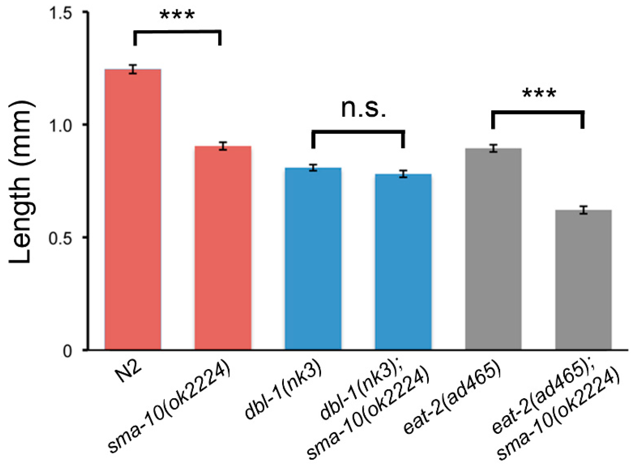 Ijms 22 00638 g001 Ijms 22 00638 g001