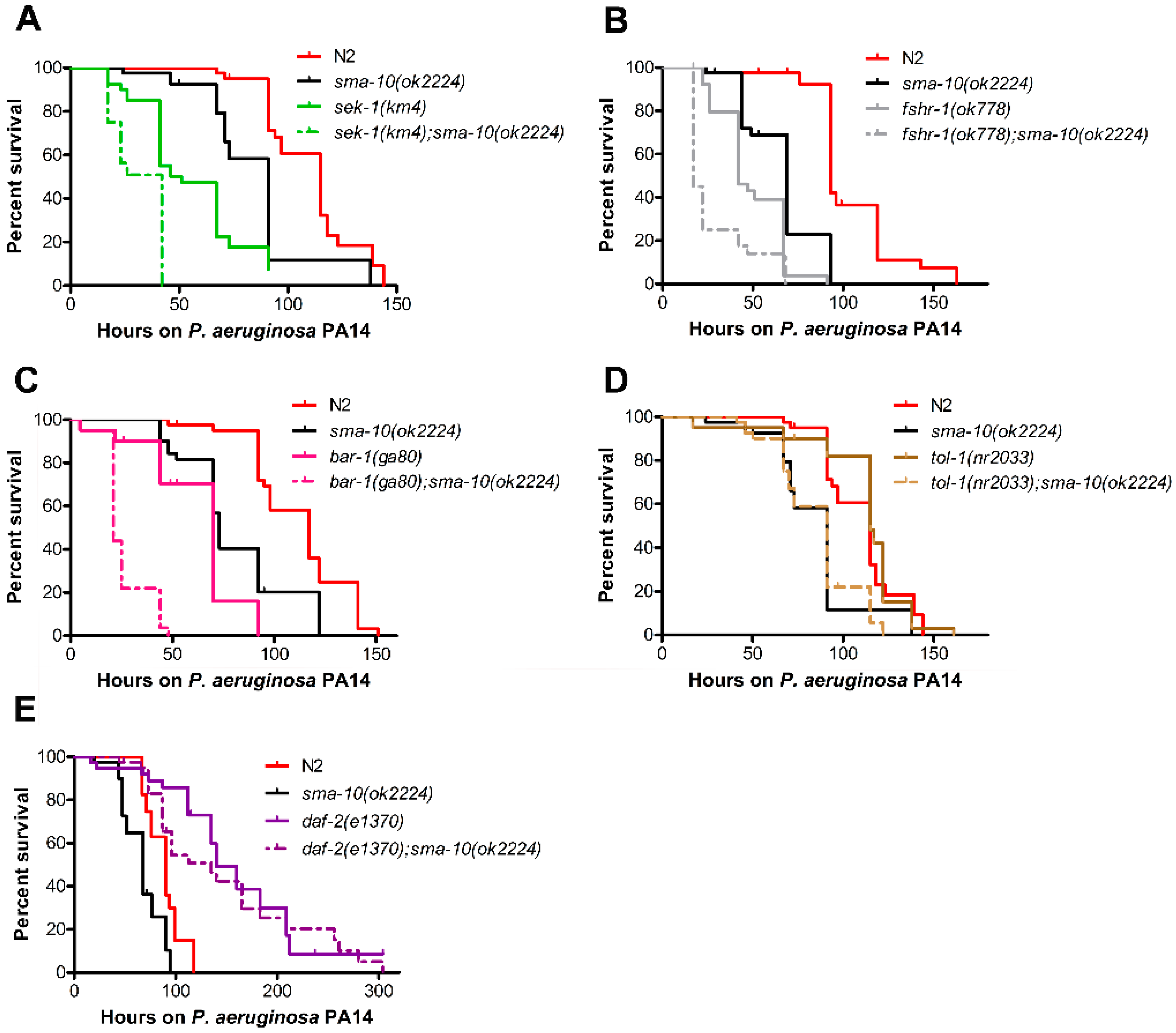 Ijms 22 00638 g005 Ijms 22 00638 g005